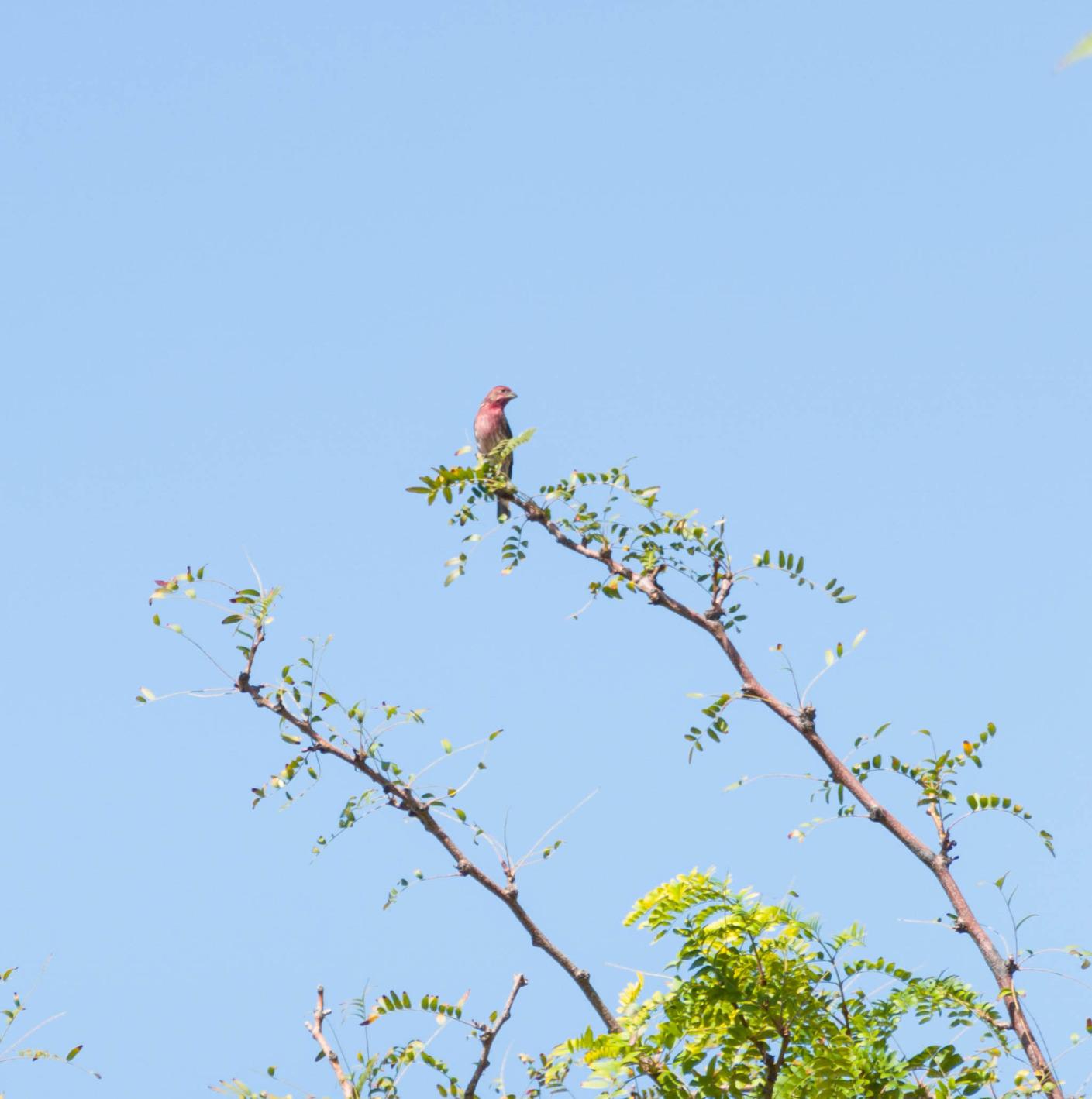 Sony RX100 VII Premium Compact Camera with 1.0-type stacked CMOS sensor (DSCRX100M7) Customer Review Sony RX100 VII Premium Compact Camera with 1.0-type stacked CMOS sensor (DSCRX100M7) - Customer Photo 1