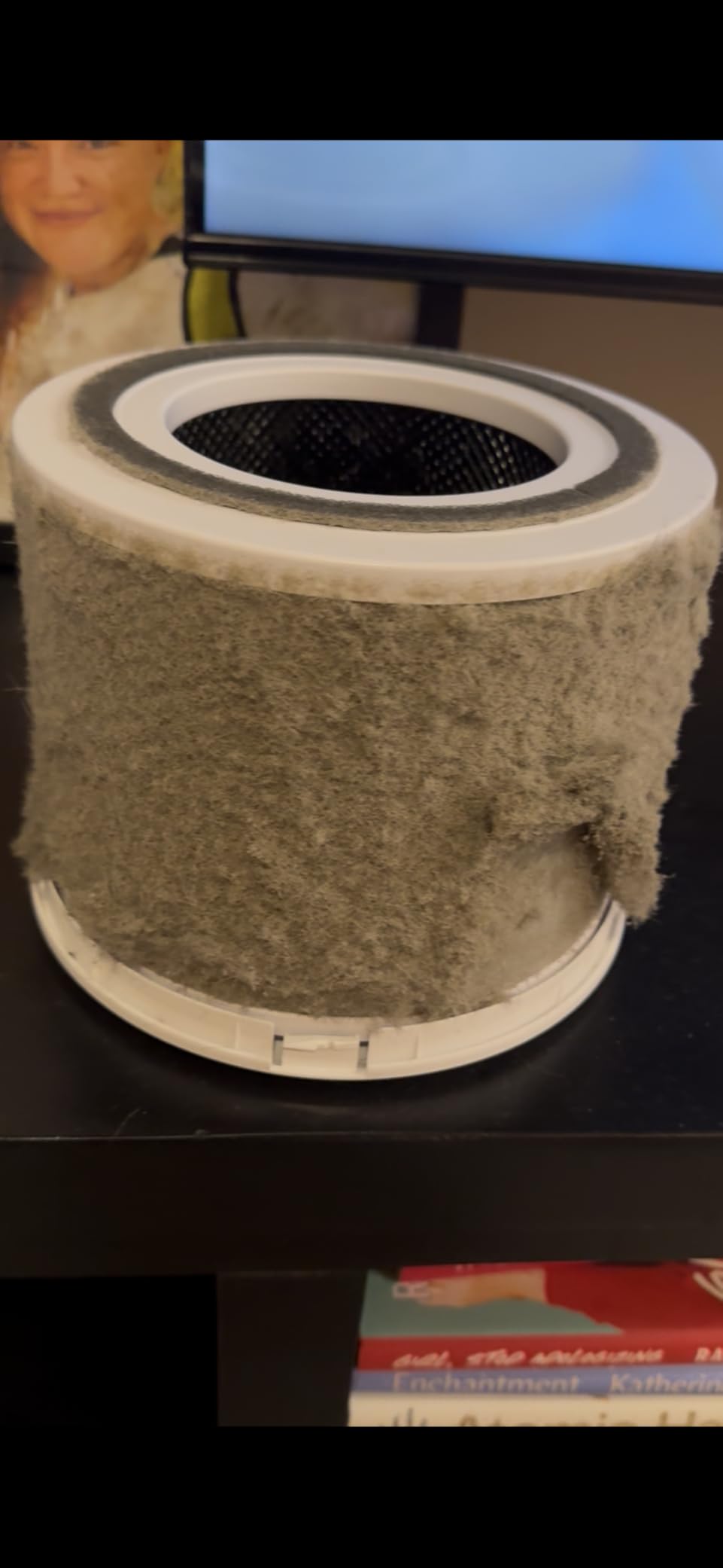 LEVOIT Air Purifier for Home Allergies Pet Hair in Bedroom, Covers Up to 1073 ft² by 56W High Torque Motor, AHAM VERIFIDE, 3-in-1 Filter with HEPA Sleep Mode, Remove Dust Smoke Odor, Core300-P, White - Customer Photo 1