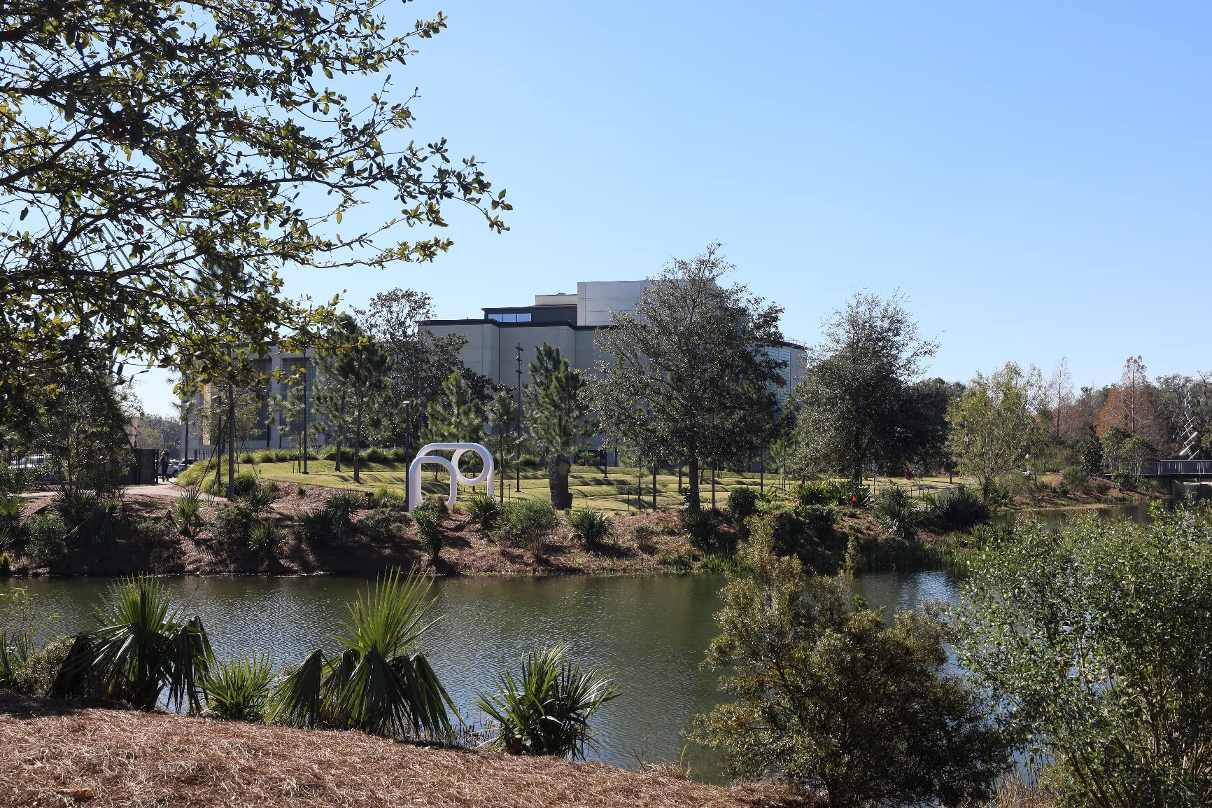 Canon RF15-35mm F2.8 L is USM Lens, Standard Zoom Lens, Compatible with EOS R Series Mirrorless Cameras, Black - Customer Photo 1