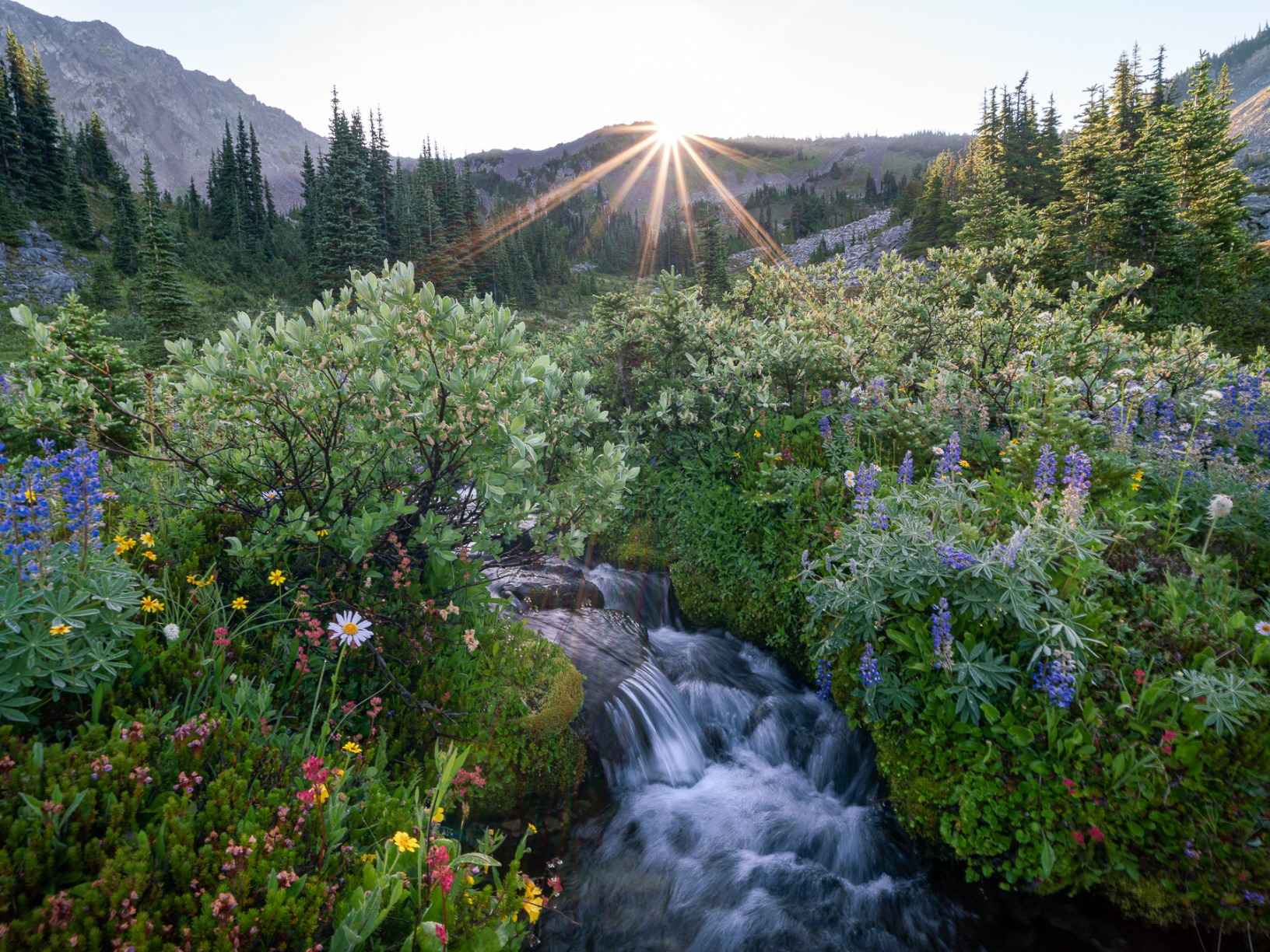 Samyang AF 18mm F2.8 Auto Focus Full Frame Wide Angle Lens for Sony E Mount - Compact, Ultra Lightweight, 58mm Filter Thread, High Resolution Optics, Quiet STM Autofocus - Customer Photo 2