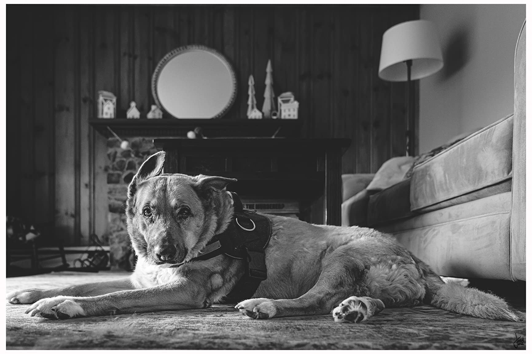 Sony - FE 24-105mm F4 G OSS Standard Zoom Lens (SEL24105G/2), Black - Customer Photo 4