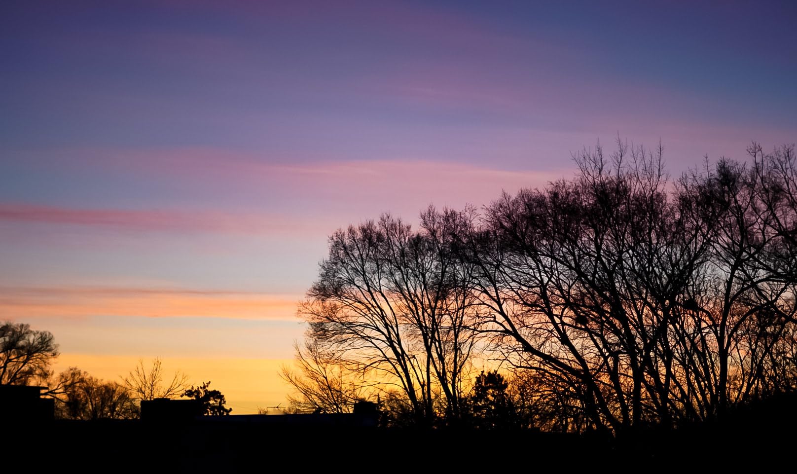 Sony FE 50mm F1.8 Standard Lens (SEL50F18F/2) Customer Review Sony FE 50mm F1.8 Standard Lens (SEL50F18F/2) - Customer Photo 1