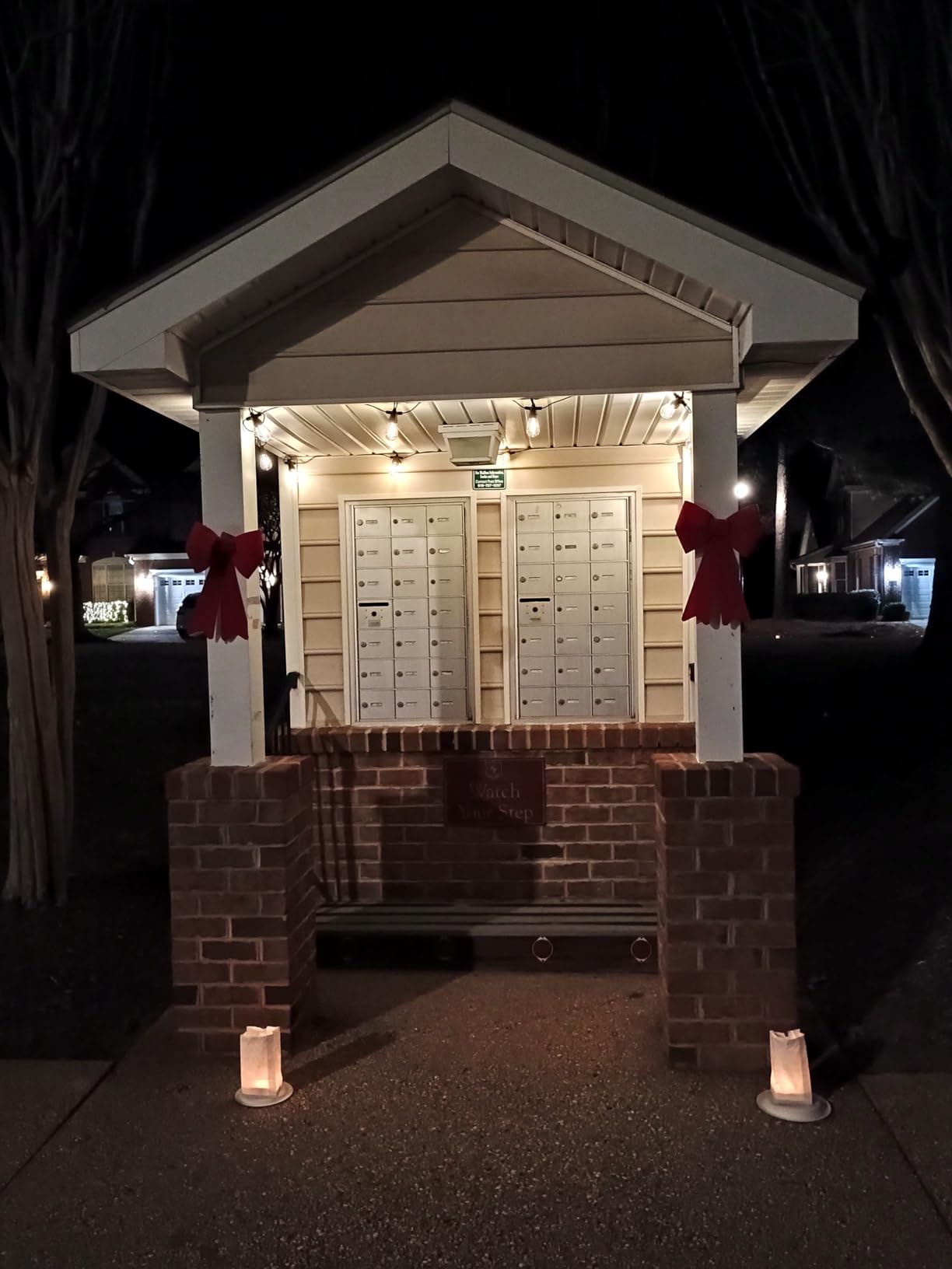 Brightech Ambience Pro Solar Powered Outdoor String Lights, 48 ft Commercial Grade Waterproof Patio Lights, 15 Edison Bulbs, Shatterproof LED String Lights for Outside, Porch - 1W Soft White - Customer Photo 2