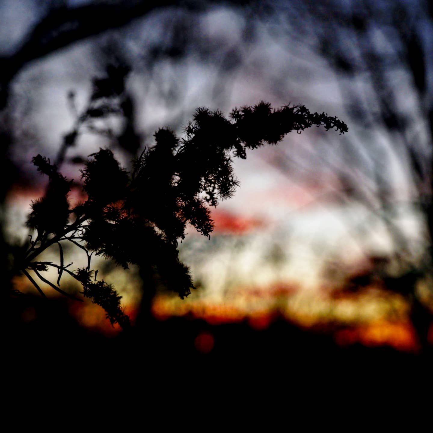 Fujifilm X-A7 Mirrorless Digital Camera w/XC15-45mm F3.5-5.6 OIS PZ Lens, Silver - Customer Photo 2