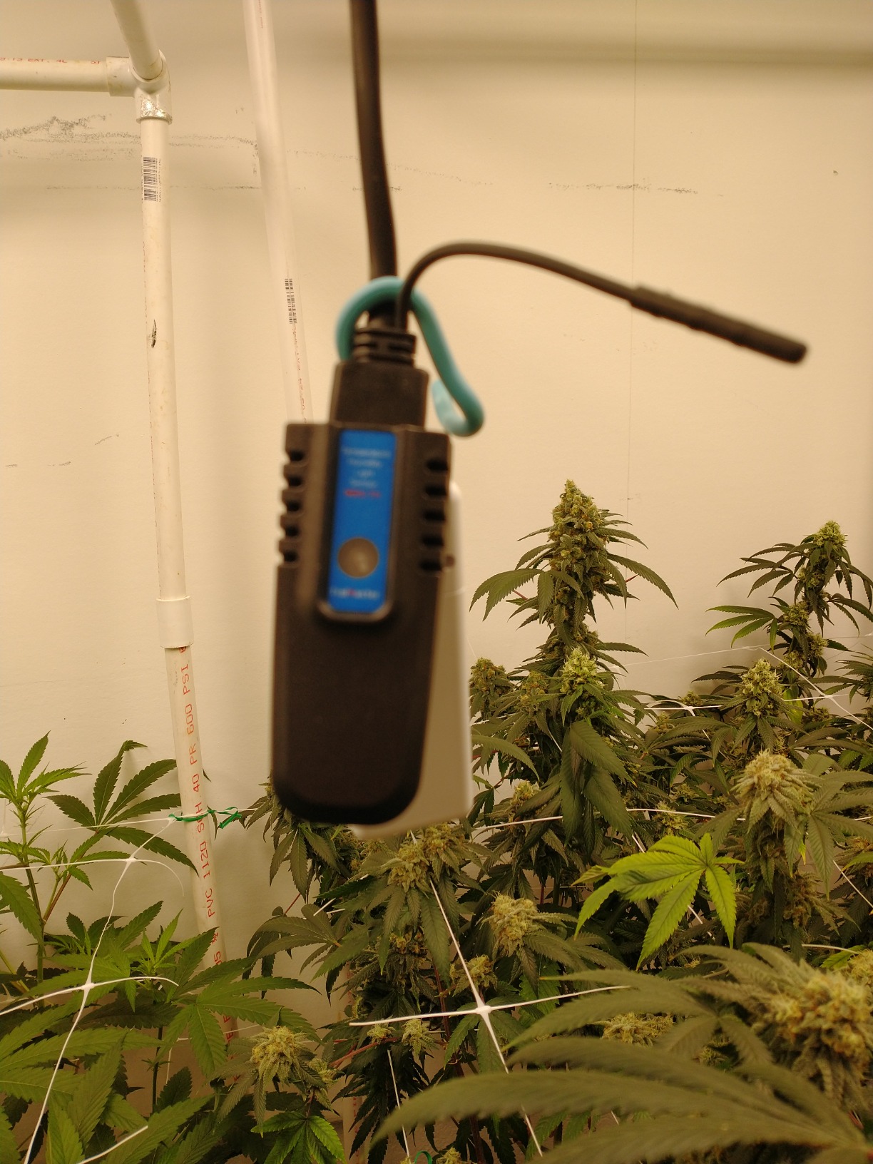 TrolMaster HCS-1 Hydro-X Controller with 3-in-1 Sensor Temp Humid Light and Cable Set, Free Phone app for Greenhouse Environmental Control - Customer Photo 3
