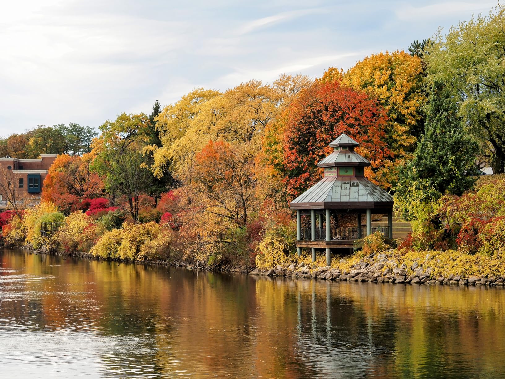 OM SYSTEM Olympus OM-D E-M5 Mark III Body Black Customer Review OM SYSTEM Olympus OM-D E-M5 Mark III Body Black - Customer Photo 1