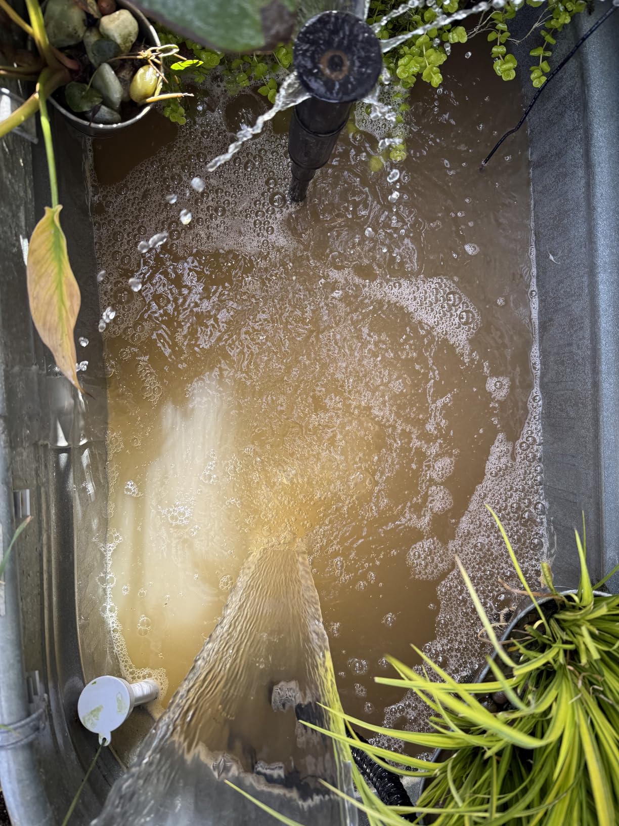 VIVOHOME Pressurized Biological Pond Filter with 13-watt Light, 1580 GPH Suitable for Koi Ponds up to 800 Gallons or Ornamental Ponds up to 1600 Gallons customer photo 2