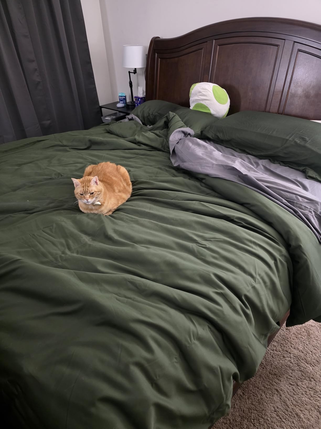 Bedsure Comforter Duvet Insert - Quilted Comforters Queen Size, All Season Duvet, GentleSoft Down Alternative Bedding, with 8 Tabs, Gifts for Women/Men, White, Queen 88 x 88 Inches - Customer Photo 1