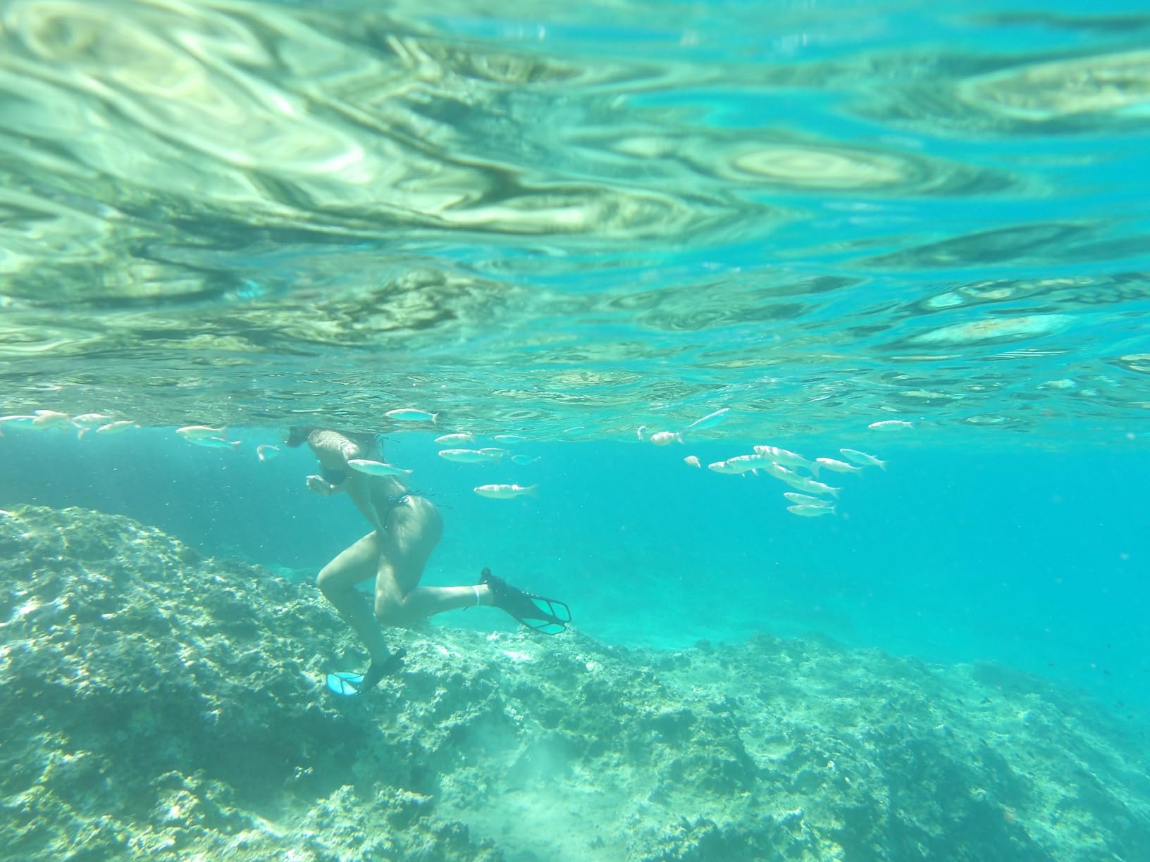 KODAK PIXPRO WPZ2 Rugged Waterproof Shockproof Dustproof WiFi Digital Camera 16MP 4X Optical Zoom 1080P Full HD Video Vlogging Camera 2.7