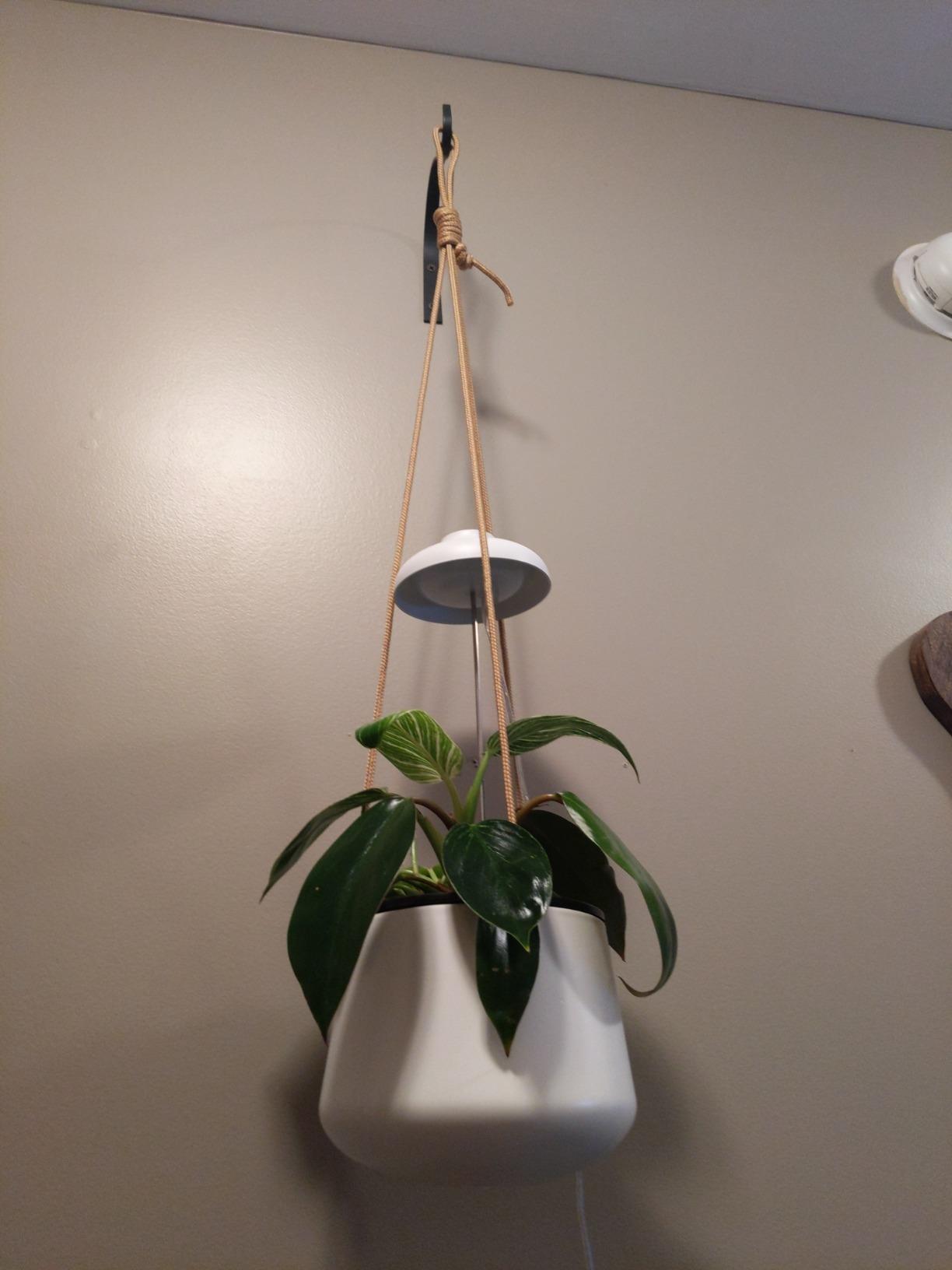 Mkono Ceramic Hanging Planter of Shallow 8 Inch and Deep 6 Inch for Indoor Outdoor Plants, Set of 2 Modern Plant Pot Geometric Porcelain Hanging Basket with Polyester Rope Hanger - Customer Photo 1