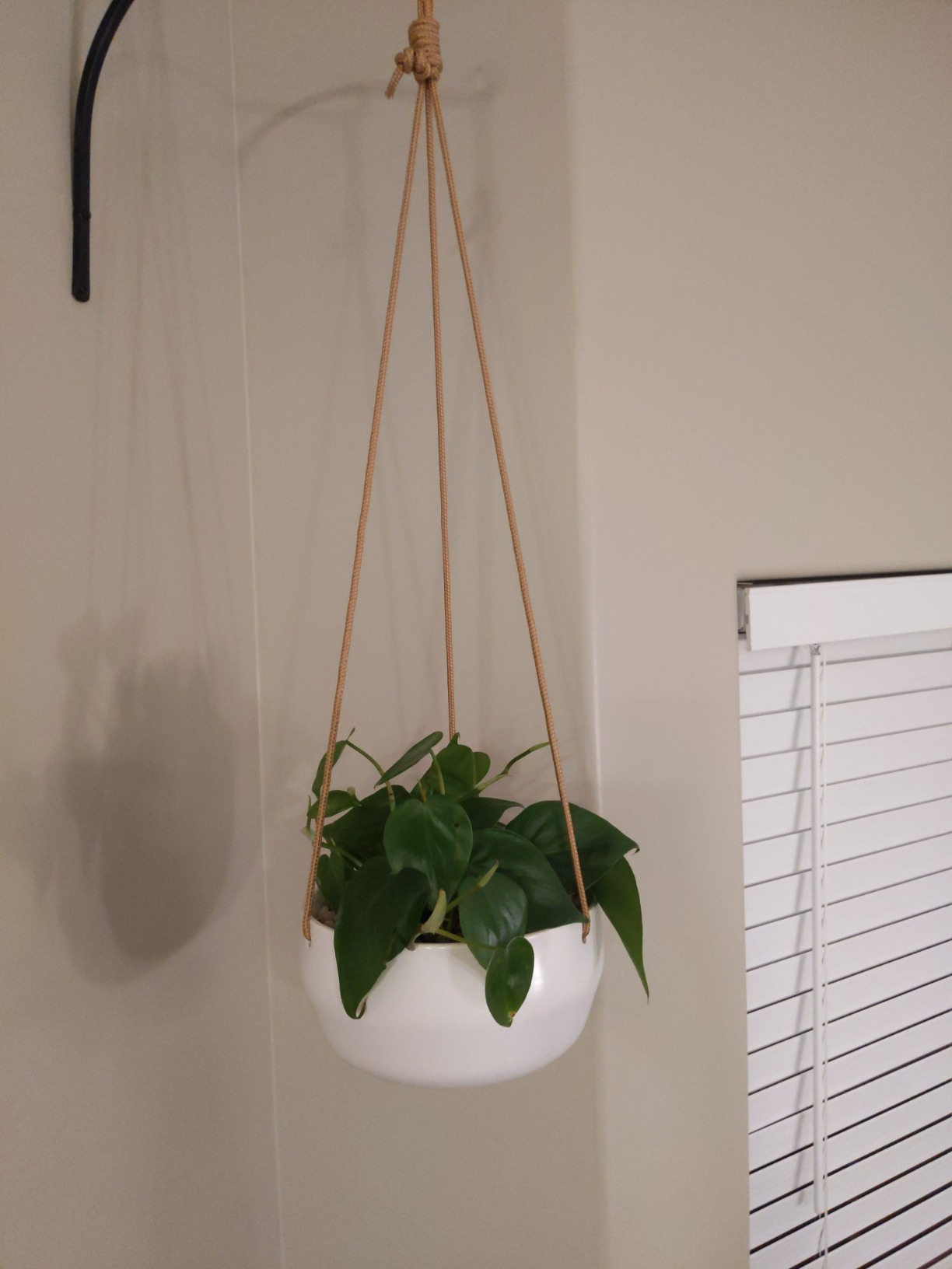 Mkono Ceramic Hanging Planter of Shallow 8 Inch and Deep 6 Inch for Indoor Outdoor Plants, Set of 2 Modern Plant Pot Geometric Porcelain Hanging Basket with Polyester Rope Hanger - Customer Photo 2