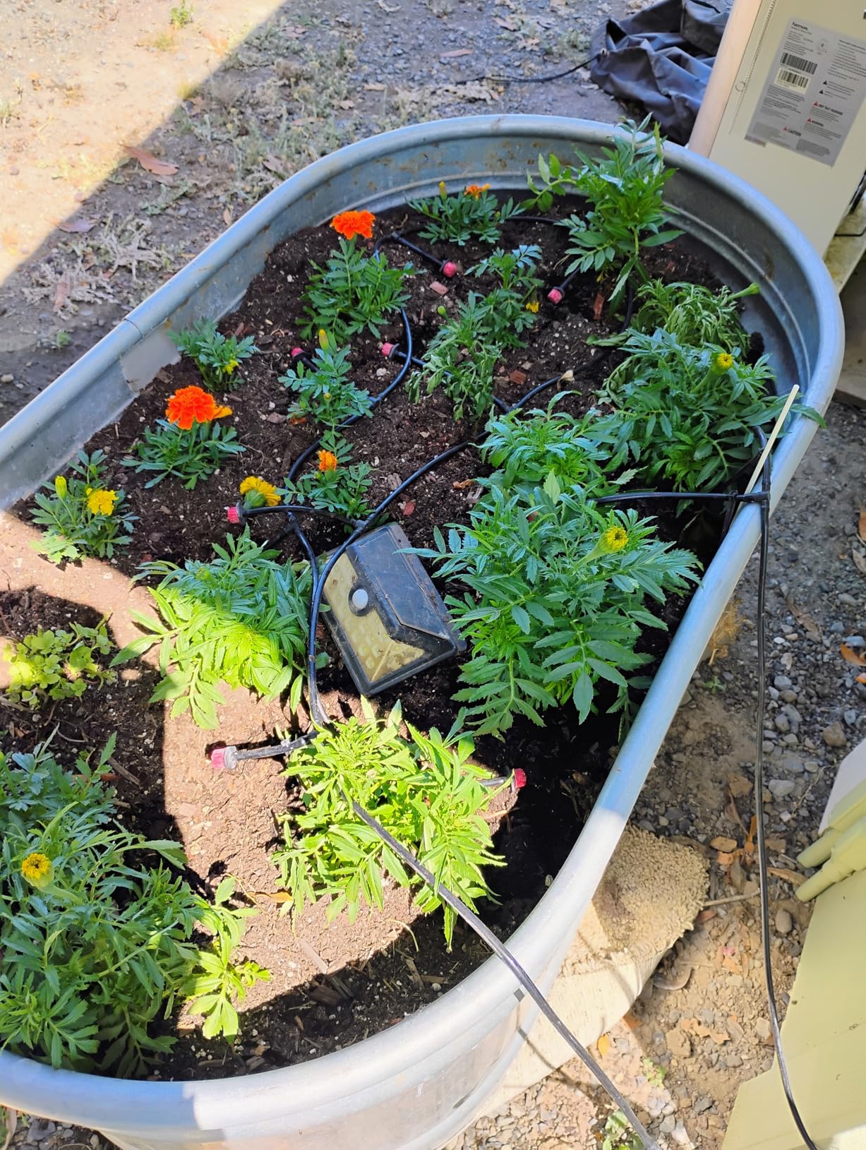 HIRALIY 50ft Drip Irrigation Kit Plant Watering System 8x5mm Blank Distribution Tubing DIY Automatic Irrigation Equipment Set for Garden Greenhouse Flower Bed Patio Lawn - Customer Photo 1