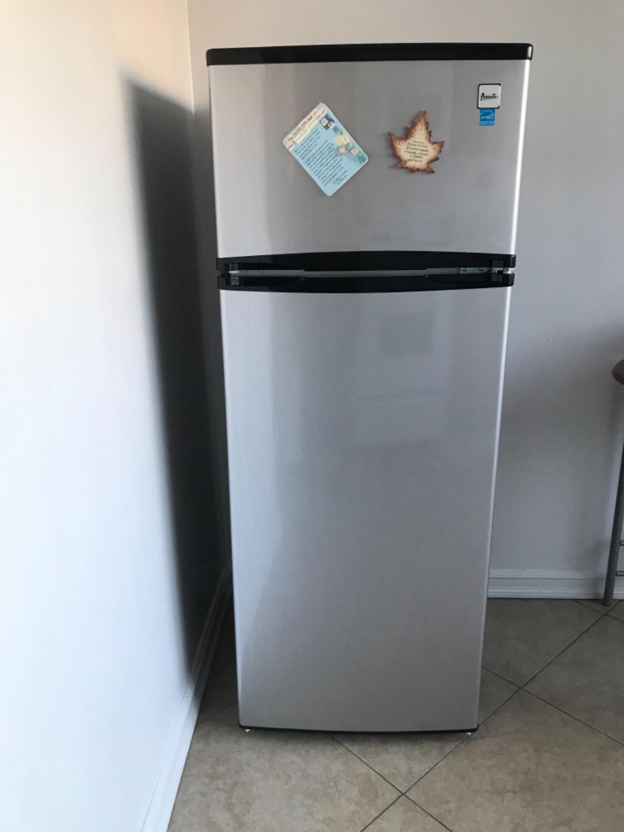 Avanti 15.6 cu. ft. Side-by-Side Apartment Refrigerator with Freezer, Compact Counter-Depth Fridge for Small Spaces, Stainless Steel customer photo 2
