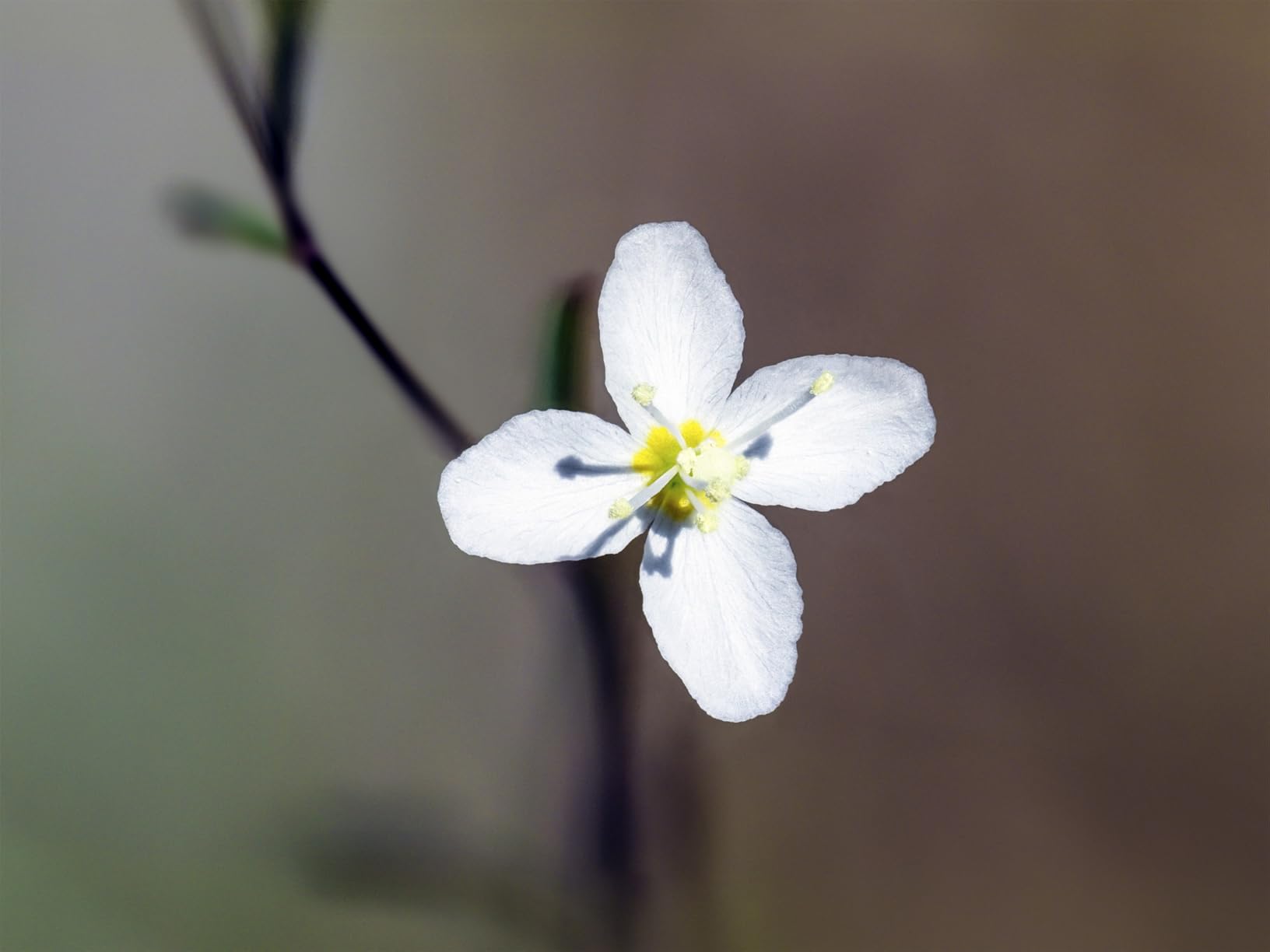 OM SYSTEM Olympus OM-D E-M1 Mark III Black Camera Body Customer Review OM SYSTEM Olympus OM-D E-M1 Mark III Black Camera Body - Customer Photo 1