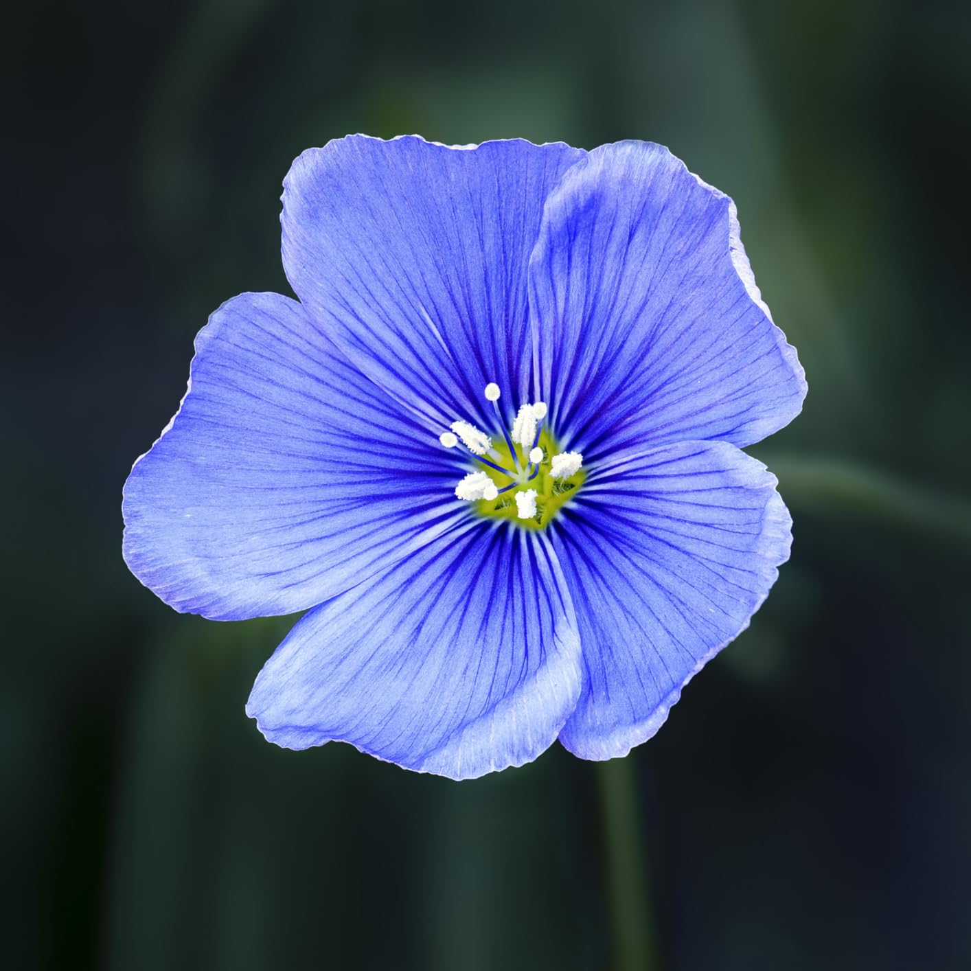 OM SYSTEM Olympus OM-D E-M1 Mark III Black Camera Body Customer Review OM SYSTEM Olympus OM-D E-M1 Mark III Black Camera Body - Customer Photo 2