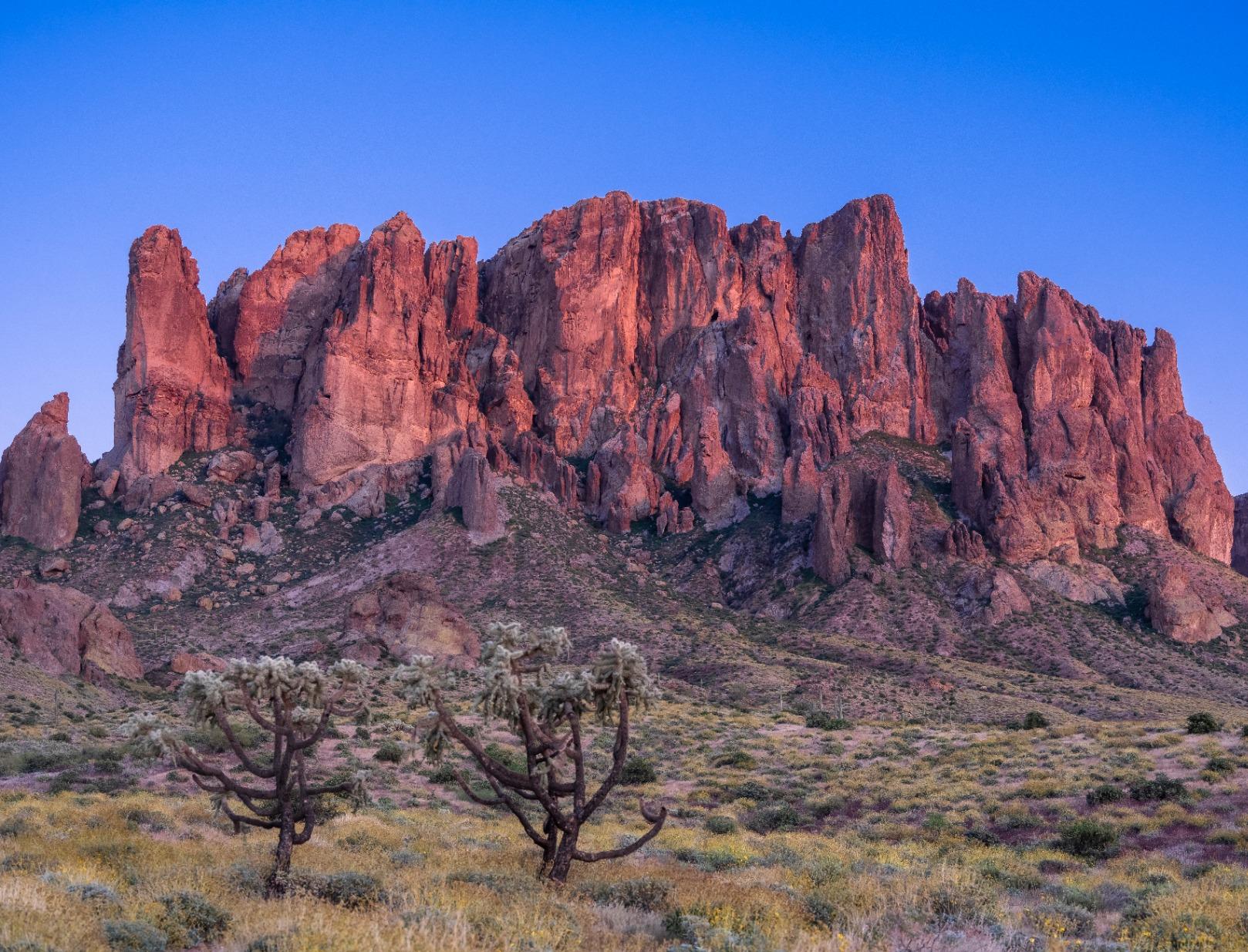 Fujifilm GF45-100mmF4 R LM WR - Customer Photo 1