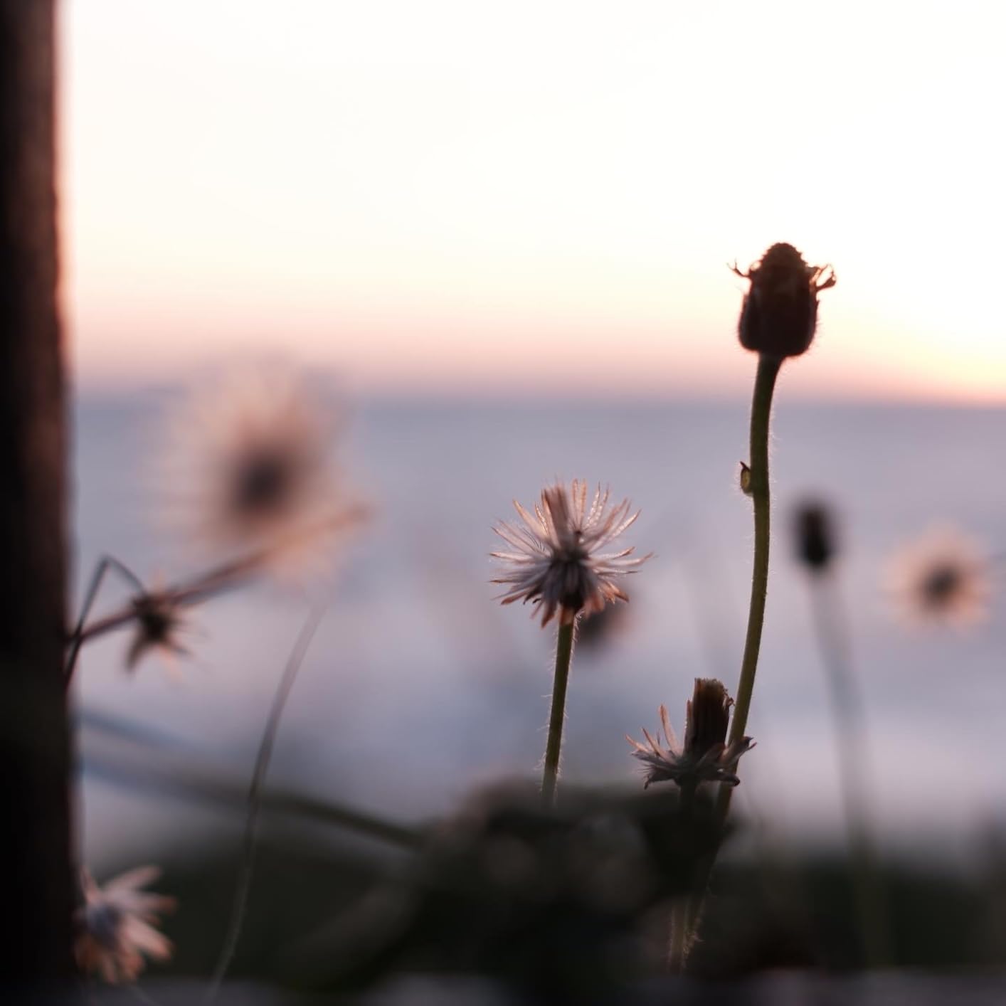 Fujifilm X-T200 Mirrorless Digital Camera w/XC15-45mm Kit - Silver - Customer Photo 1