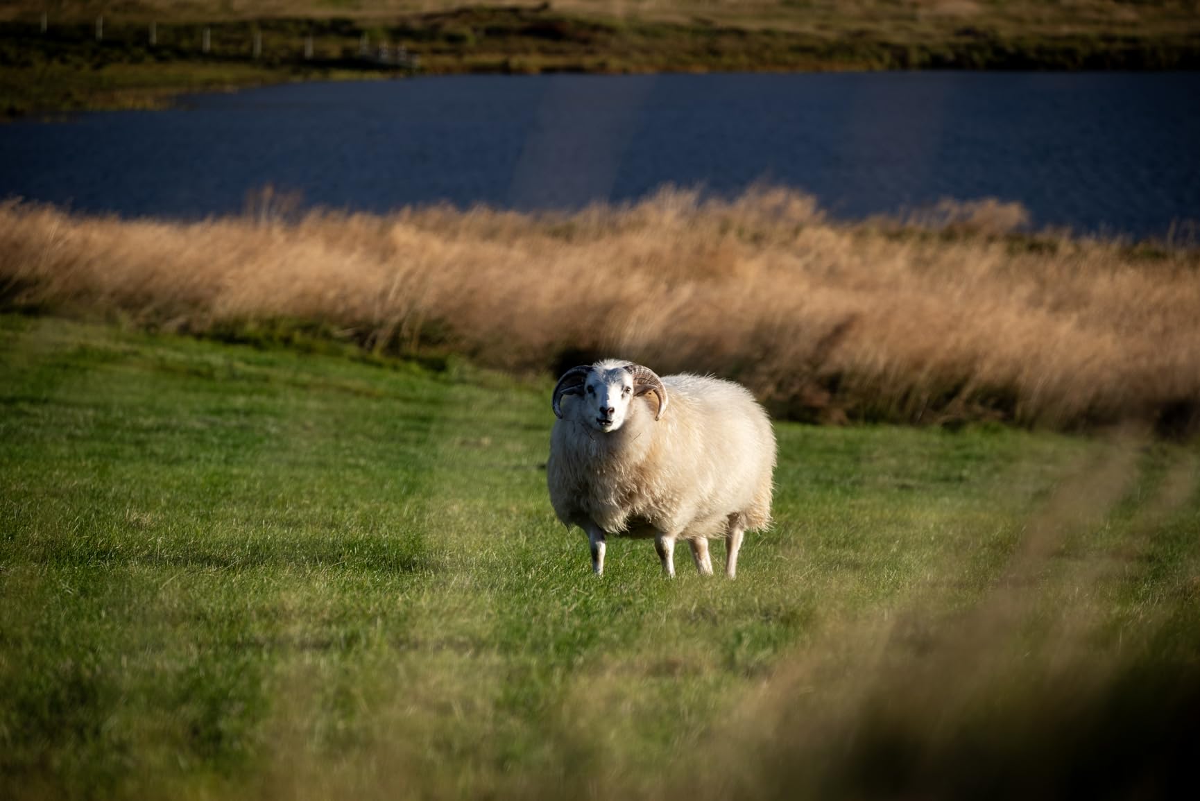 Nikon NIKKOR Z 24-200mm VR | Compact all-in-one telephoto zoom lens with image stabilization for Z series mirrorless cameras | Nikon USA Model - Customer Photo 1