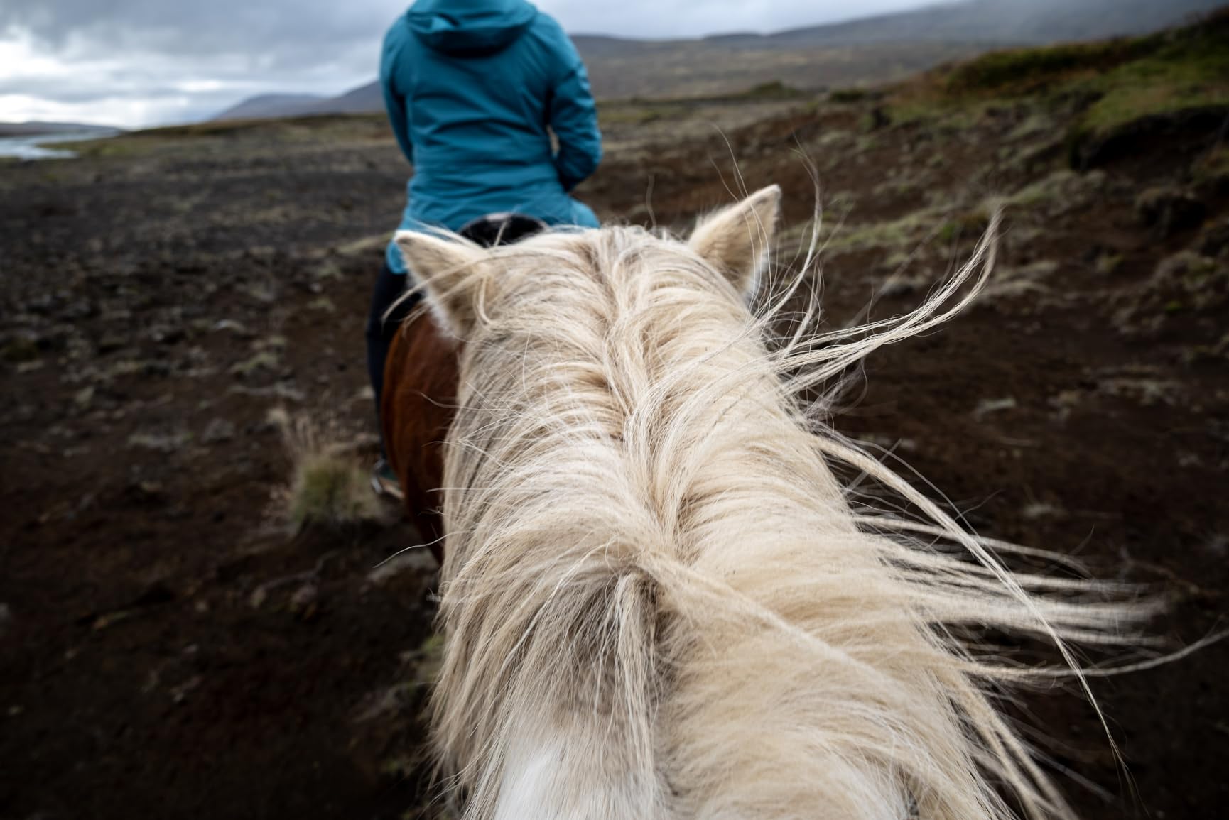 Nikon NIKKOR Z 24-200mm VR | Compact all-in-one telephoto zoom lens with image stabilization for Z series mirrorless cameras | Nikon USA Model - Customer Photo 2