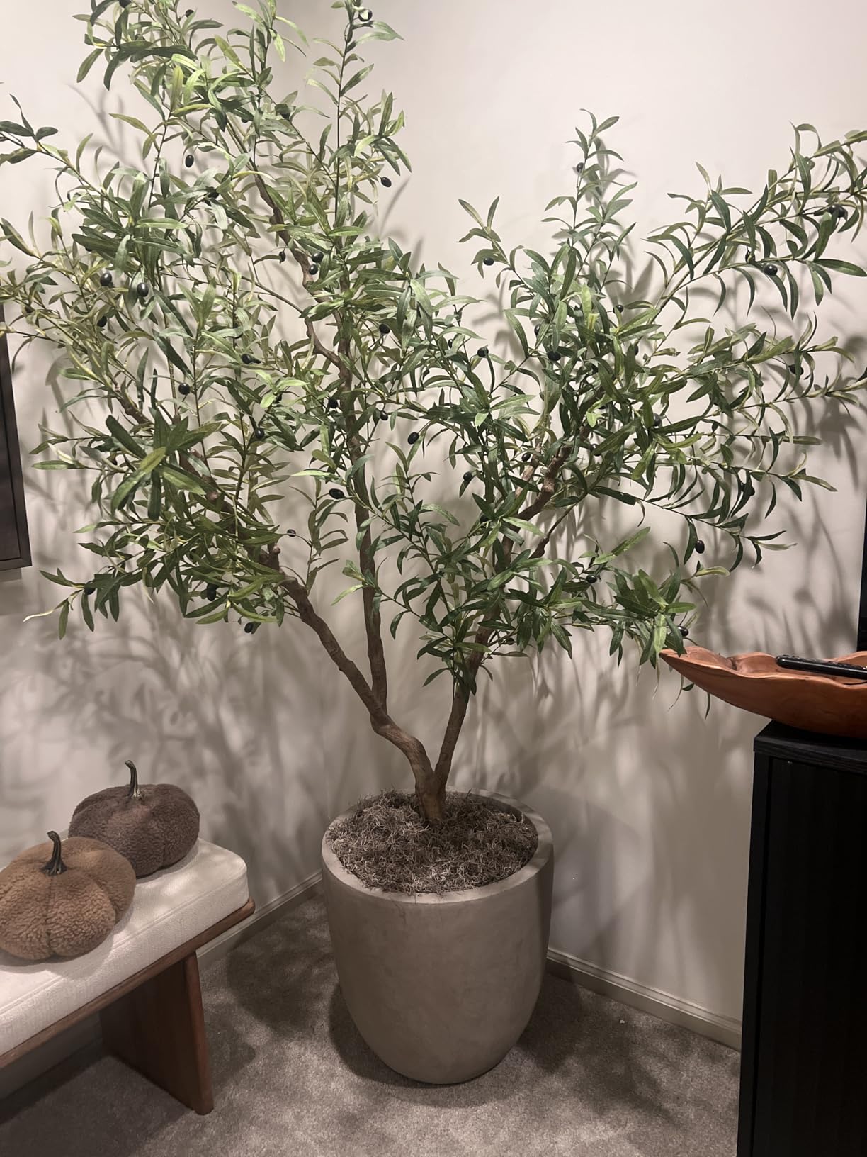 Kante 18 Inch Dia Round Concrete Planter, Indoor Outdoor Large Plant Pot with Drainage Hole and Rubber Plug for Home Patio Garden, Weathered Concrete Customer Review Kante 18 Inch Dia Round Concrete Planter, Indoor Outdoor Large Plant Pot with Drainage Hole and Rubber Plug for Home Patio Garden, Weathered Concrete - Customer Photo 1