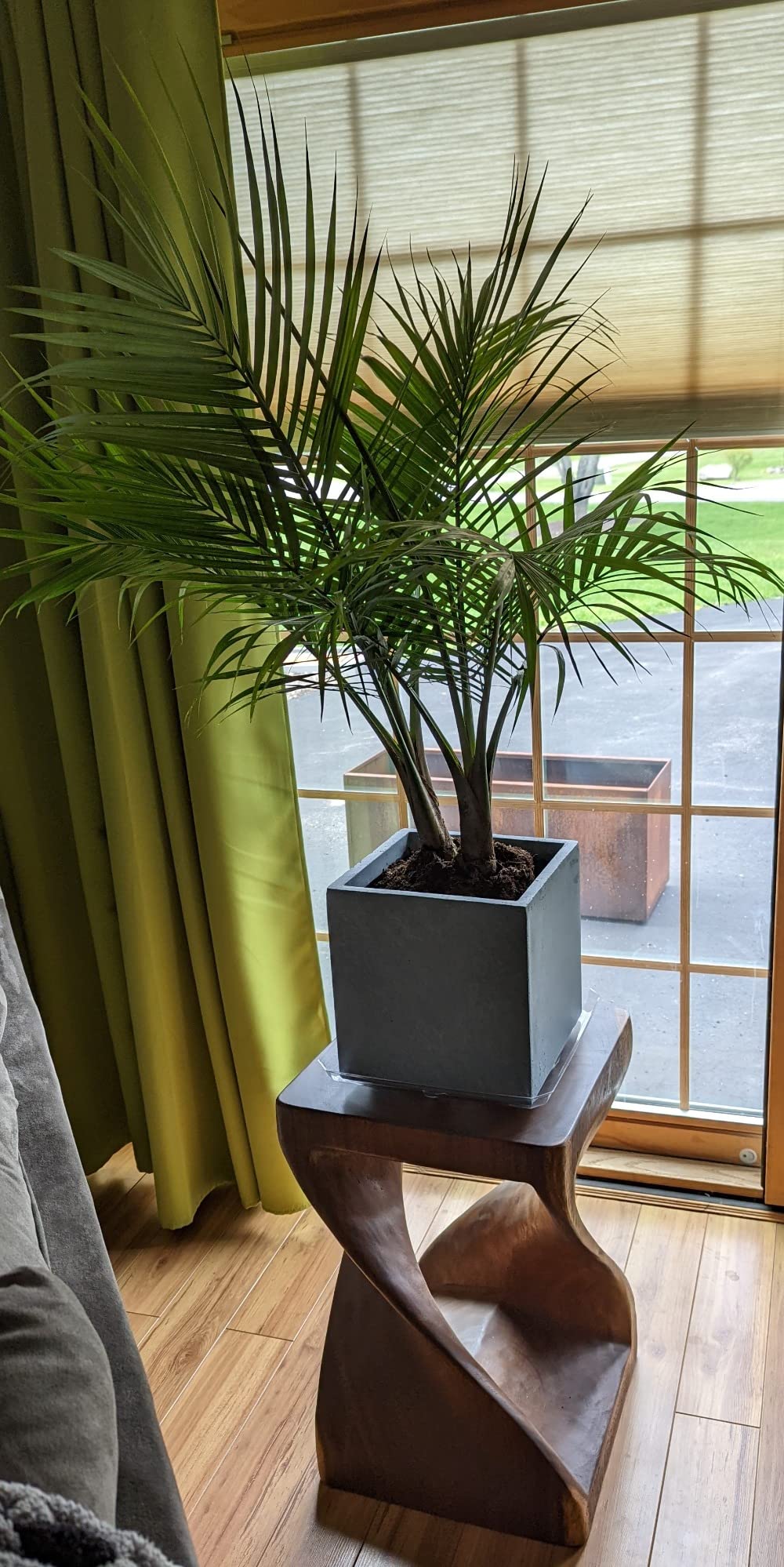 Kante 12 Inch Square Concrete Planter for Outdoor Indoor Home Patio Garden, Large Plant Pot with Drainage Hole and Rubber Plug, Charcoal - Customer Photo 1