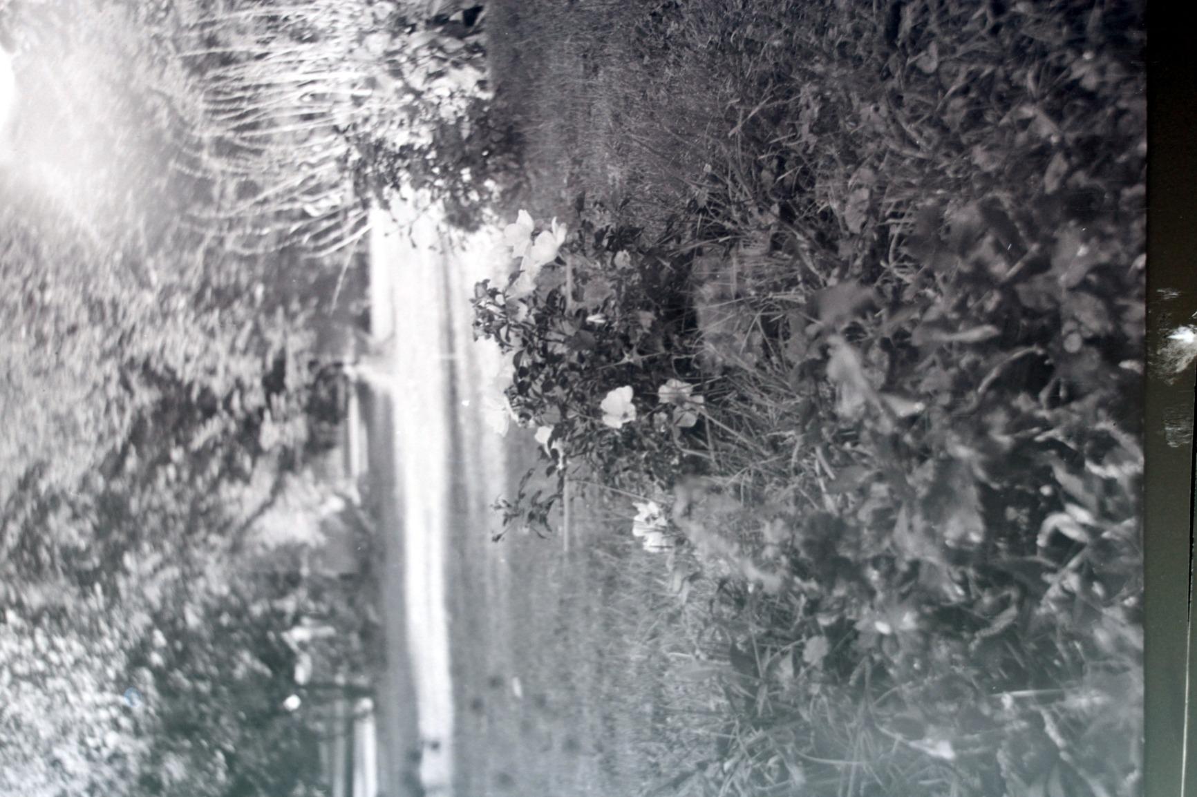 SERVICED LUBITEL-166 Universal Russian TLR Medium Format 6x6 LOMO Camera - Customer Photo 1