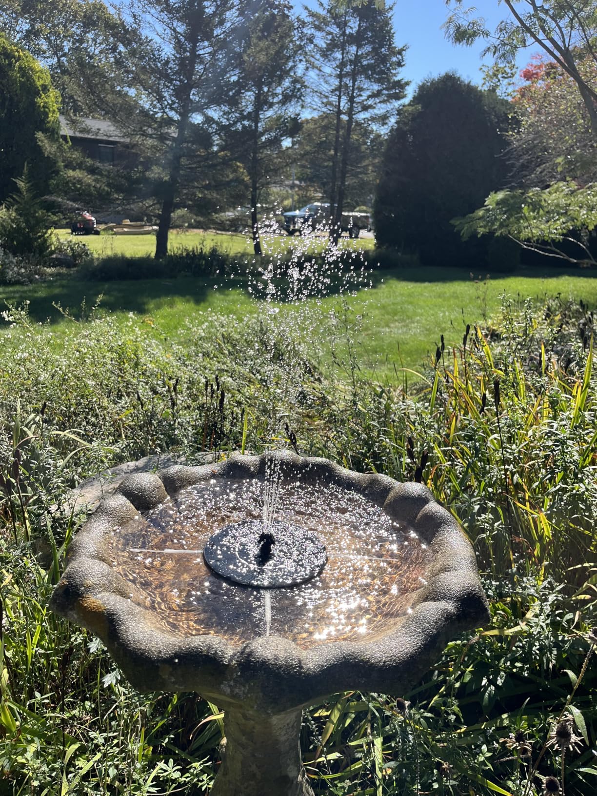 Mademax Solar Bird Bath Fountains Pump, Upgrade 1.4W Solar Fountain with 6 Nozzle, Free Standing Floating Solar Powered Water Fountain Pump for Bird Bath, Garden, Pond, Pool, Outdoor - Customer Photo 2