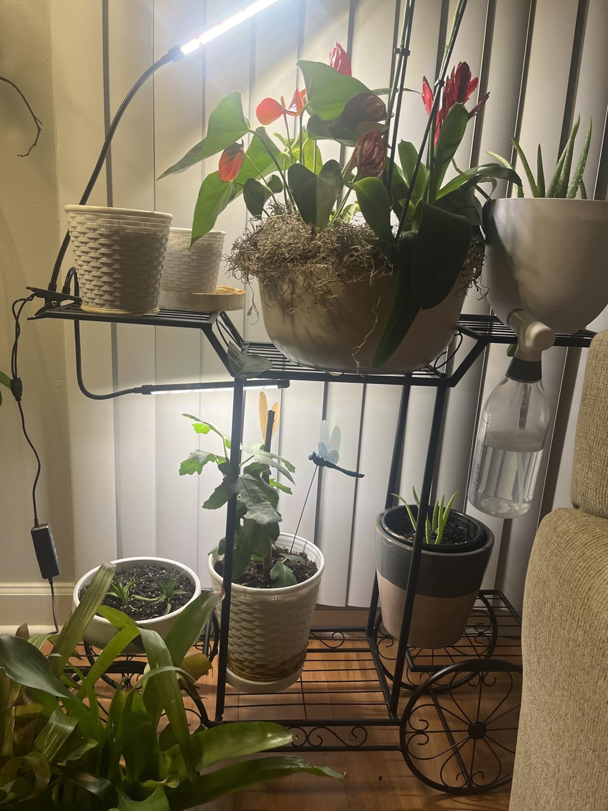 GooingTop LED Grow Light, 6000K Full Spectrum Clip Plant Growing Lamp with White Red LEDs for Indoor Plants, 5-Level Dimmable, Auto On Off Timing 4 8 12Hrs - Customer Photo 1