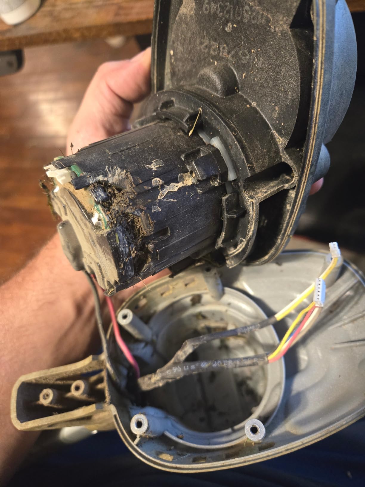 DEWALT 20V MAX* XR String Trimmer, 14-Inch, Tool Only (DCST922B) - Customer Photo 1