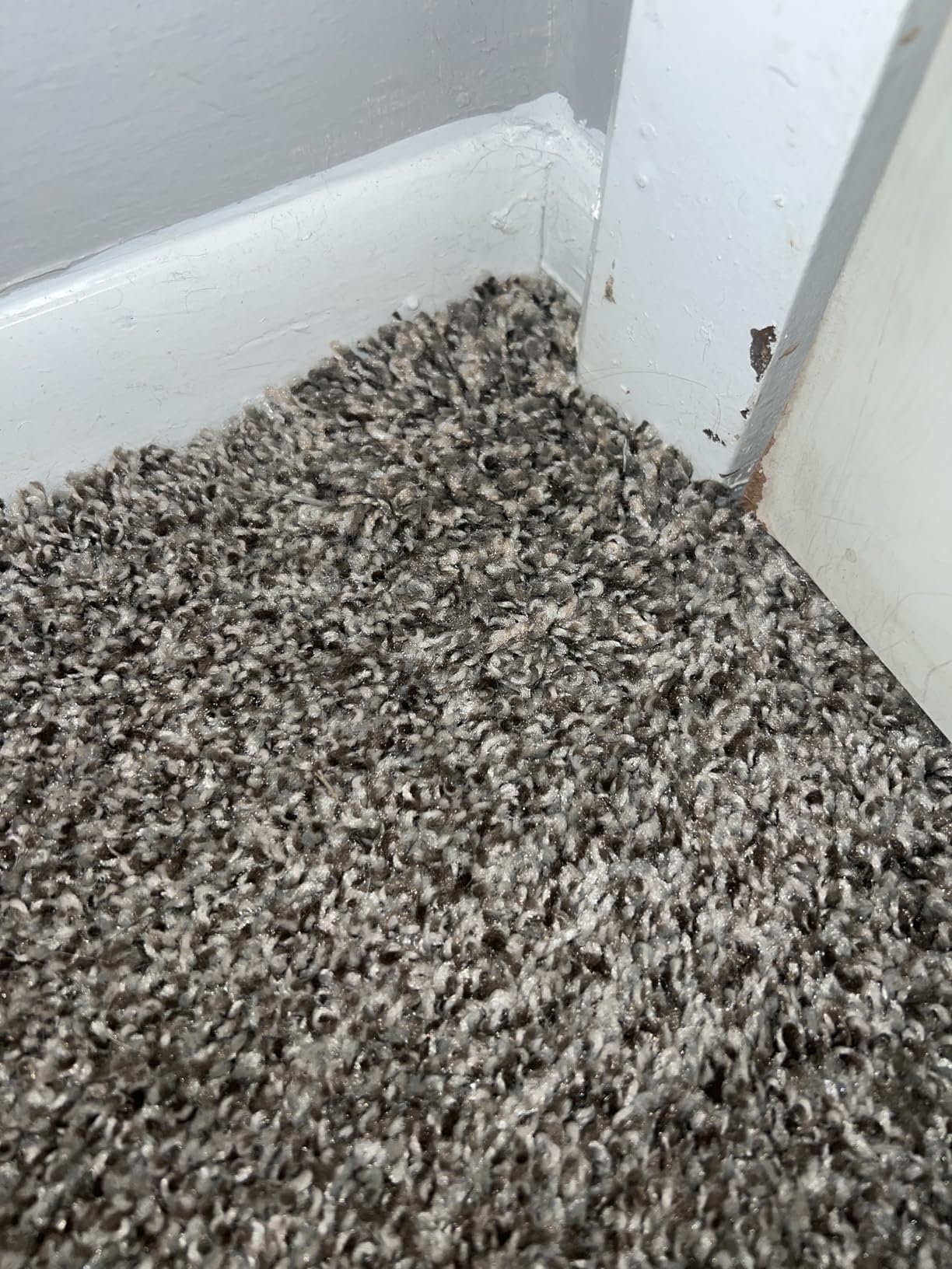 Smart Squares in A Snap 18