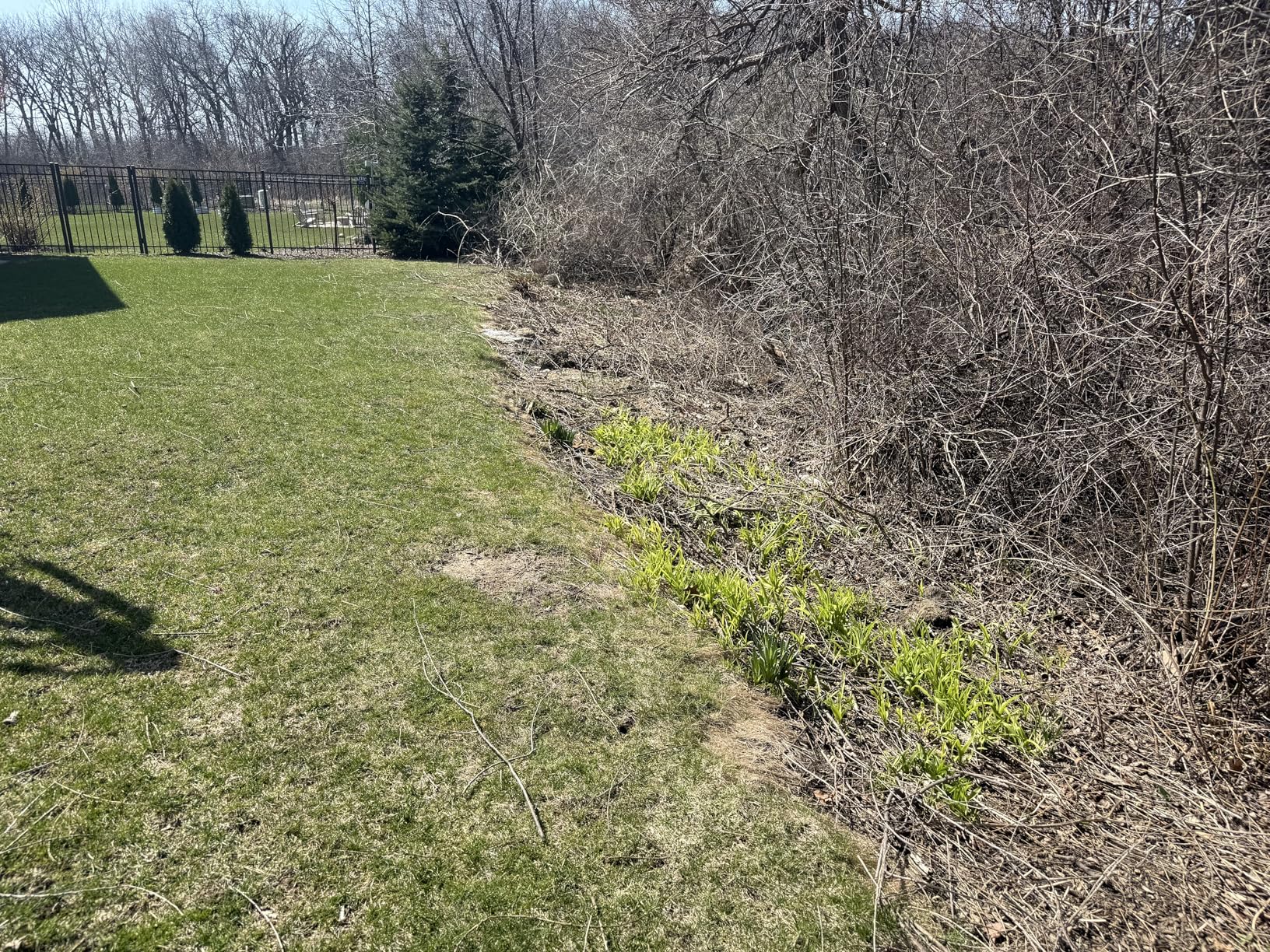 TrimmerPlus Brush Cutter Attachment for Compatible Gas Powered Multi-Use Outdoor Equipment (TPB720) - Customer Photo 1