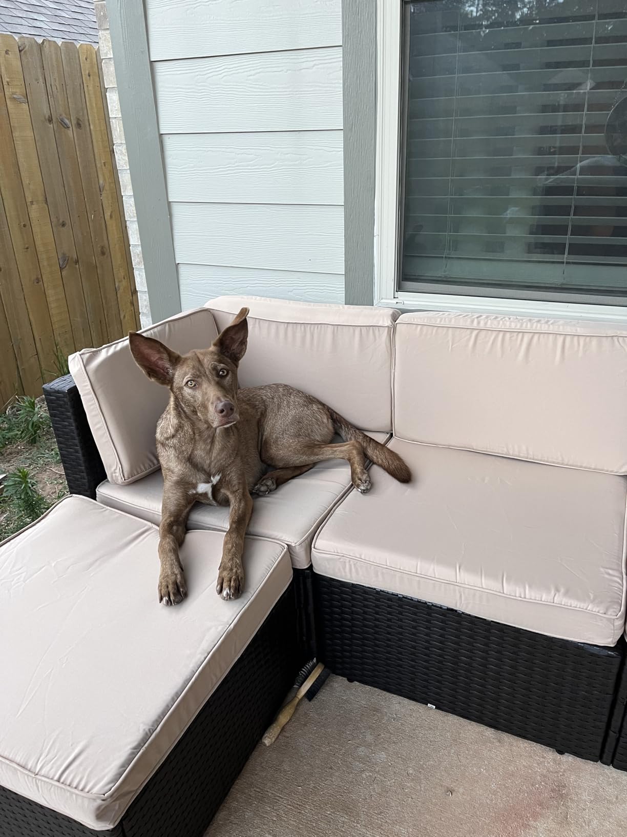 Vongrasig 5 Piece Patio Furniture Sets, Outdoor Patio Set Sectional Sofa, All-Weather PE Rattan Outdoor Couch with Ottoman, Glass Table for Garden, Backyard, Porch, Beige Customer Review Vongrasig 5 Piece Patio Furniture Sets, Outdoor Patio Set Sectional Sofa, All-Weather PE Rattan Outdoor Couch with Ottoman, Glass Table for Garden, Backyard, Porch, Beige - Customer Photo 2