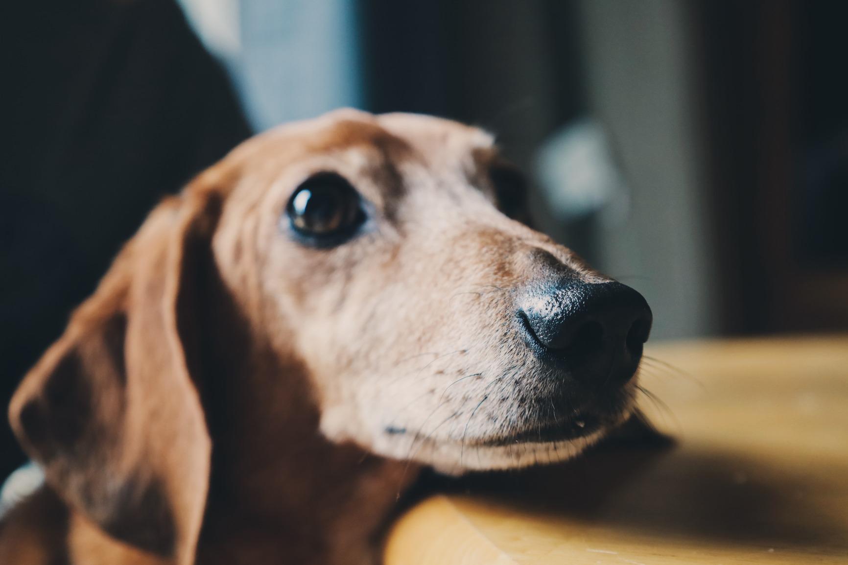 Canon EOS RP Full-Frame Mirrorless Interchangeable Lens Camera + RF24-105mm Lens F4-7.1 is STM Lens Kit- Compact and Lightweight for Traveling and Vlogging, Black (3380C132) - Customer Photo 5