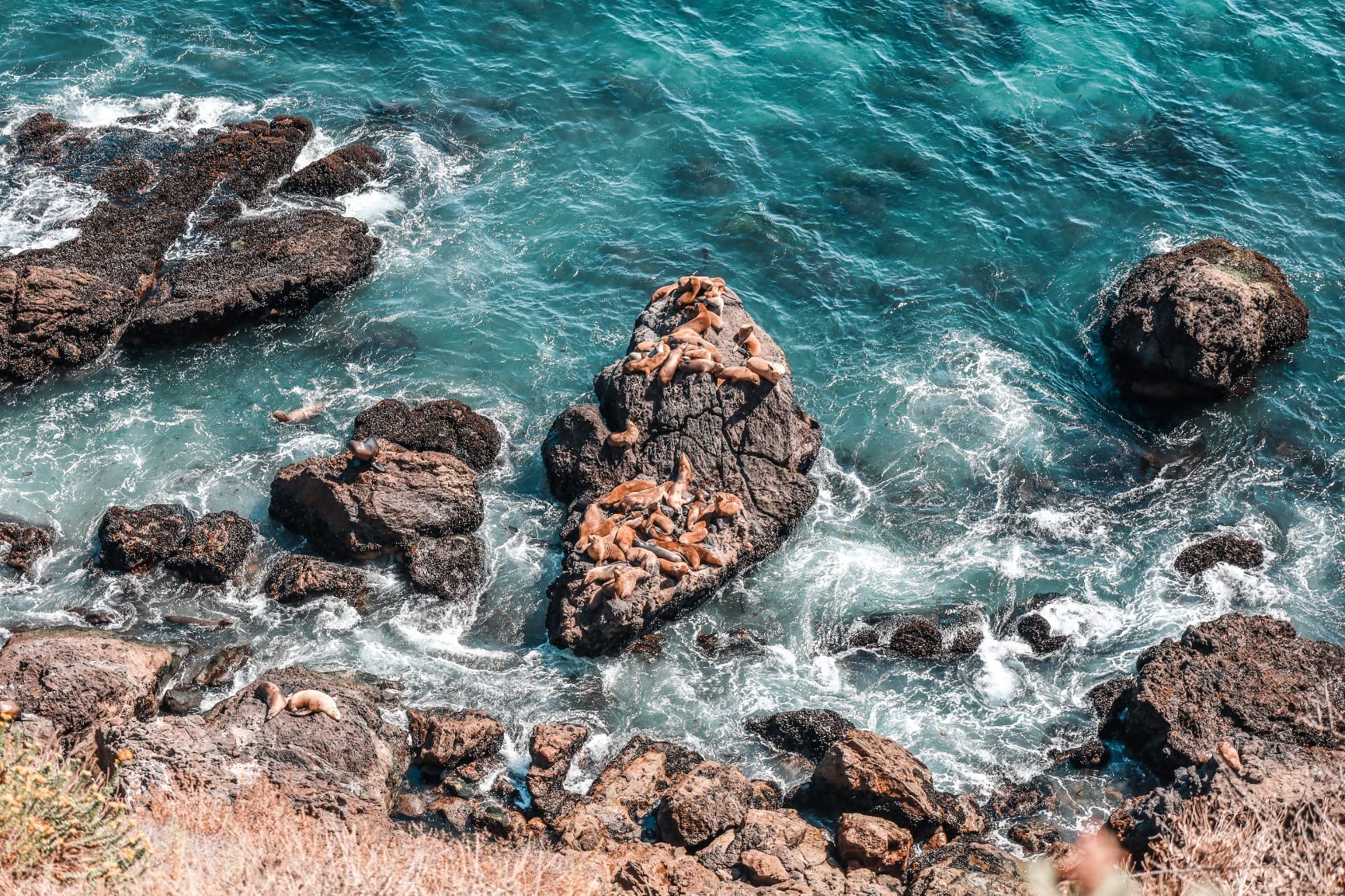 Canon EOS RP Full-Frame Mirrorless Interchangeable Lens Camera + RF24-105mm Lens F4-7.1 is STM Lens Kit- Compact and Lightweight for Traveling and Vlogging, Black - Customer Photo 5