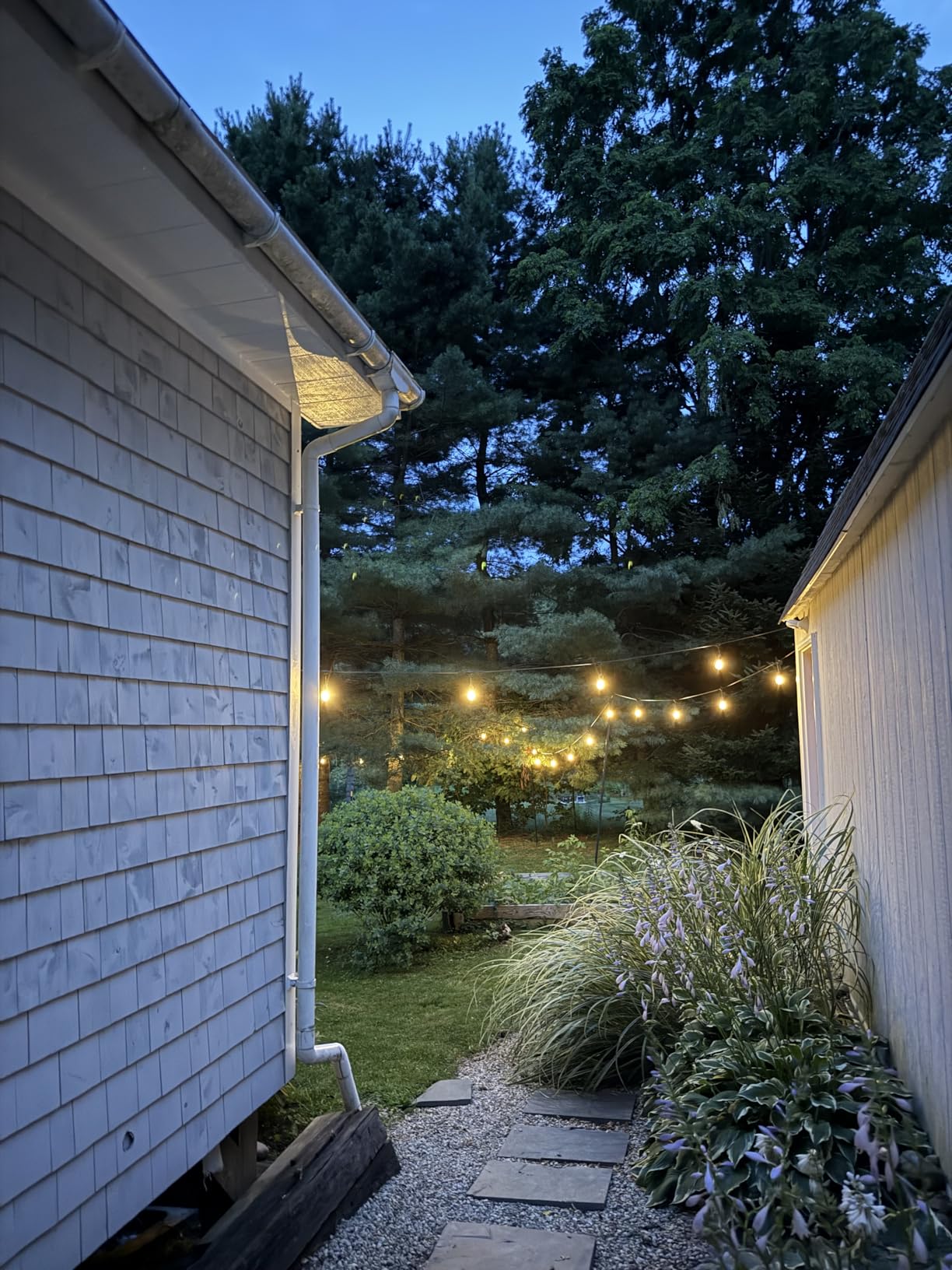 Svater Outdoor String Lights Led 105FT, Commercial Grade Patio Light with 1W Dimmable S14 Shatterproof Bulbs, ETL Listed Heavy-Duty Outside Waterproof Cafe Bistro Market Lighting Warm White - Customer Photo 1