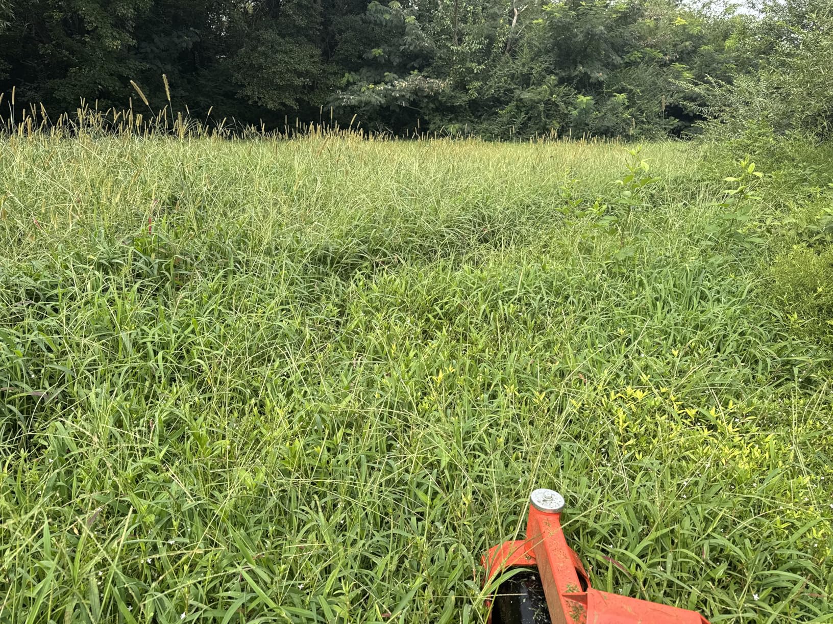 Ariens Zenith 60 (60