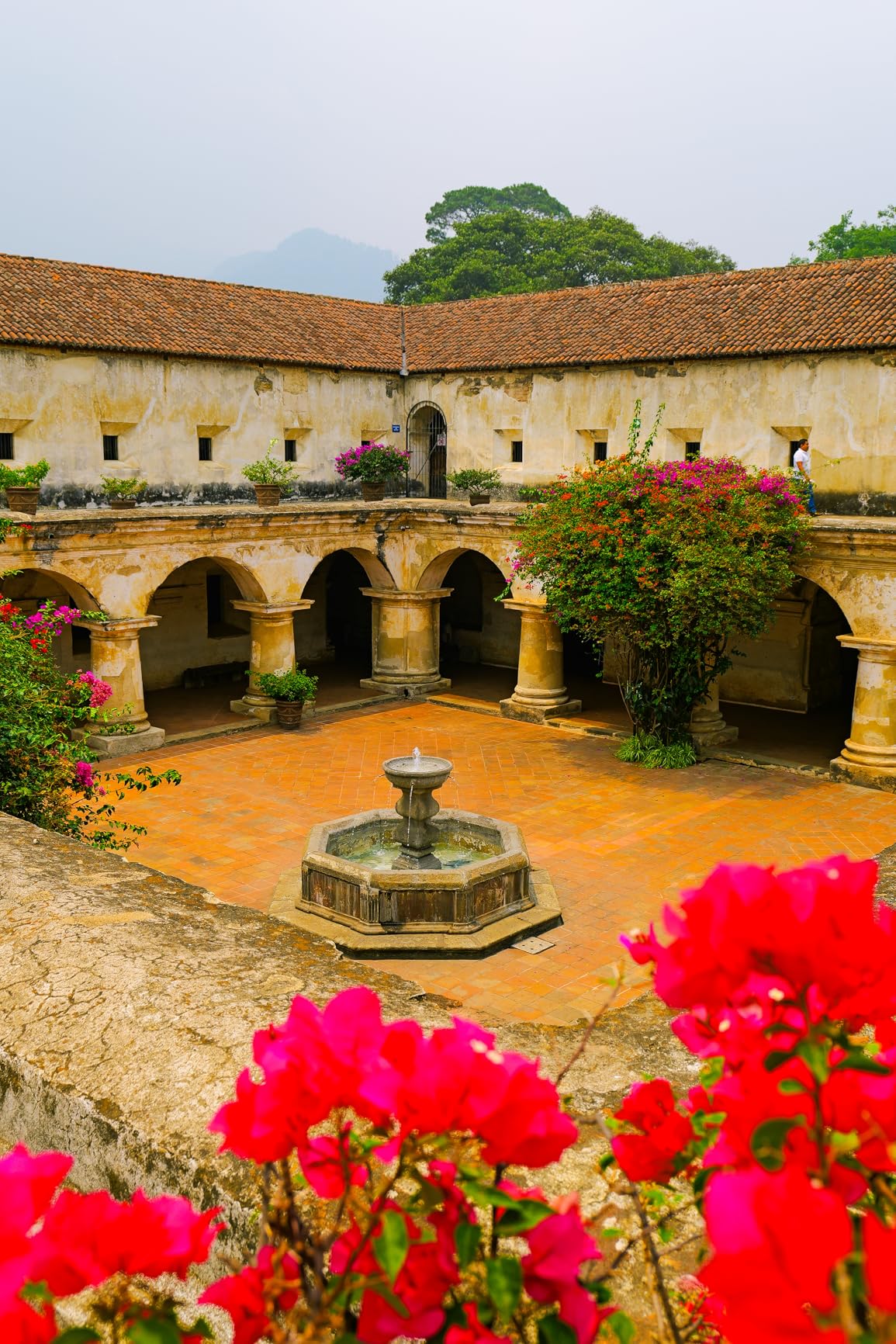 Panasonic LUMIX S 20-60mm F3.5-5.6 L Mount Interchangeable Lens for LUMIX S Series Mirrorless Full Frame Digital Cameras – S-R2060 - Customer Photo 1