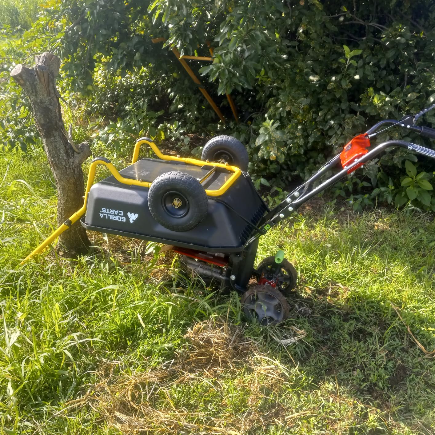 Gorilla Carts GCR-4 Poly Dump Cart, 2-Wheel Garden Wagon with Foldable Handle, 4 cu ft, 300 lb. Capacity, Black/Yellow - Customer Photo 1
