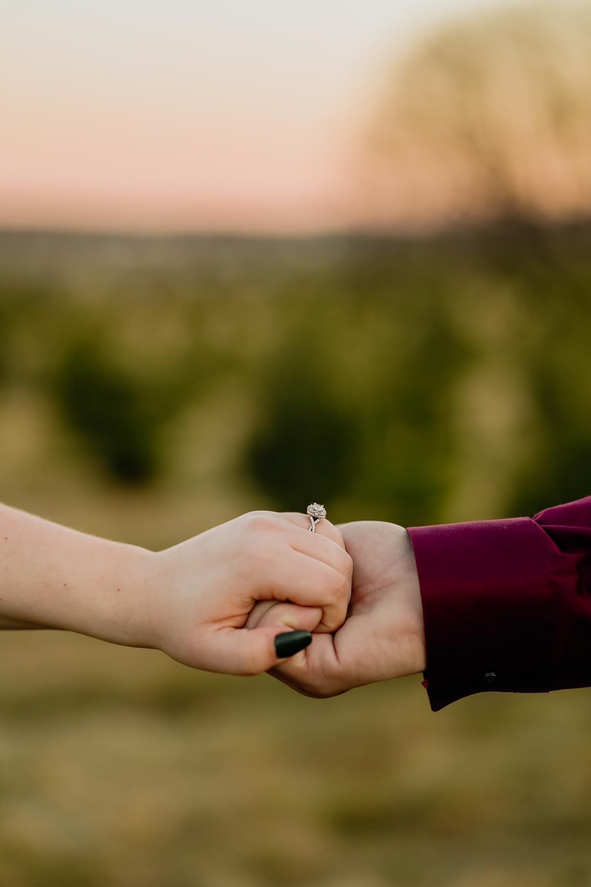 Canon RF 85mm F2 Macro IS STM - Customer Photo 4