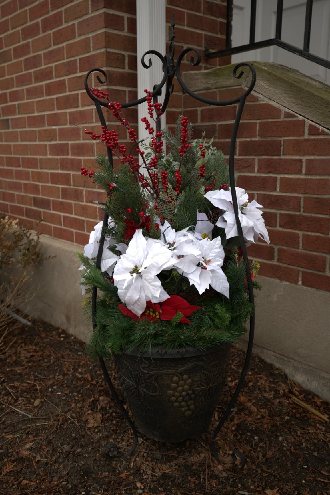 Nikon Z 5 | Our most compact full-frame mirrorless stills/video camera - Customer Photo 1