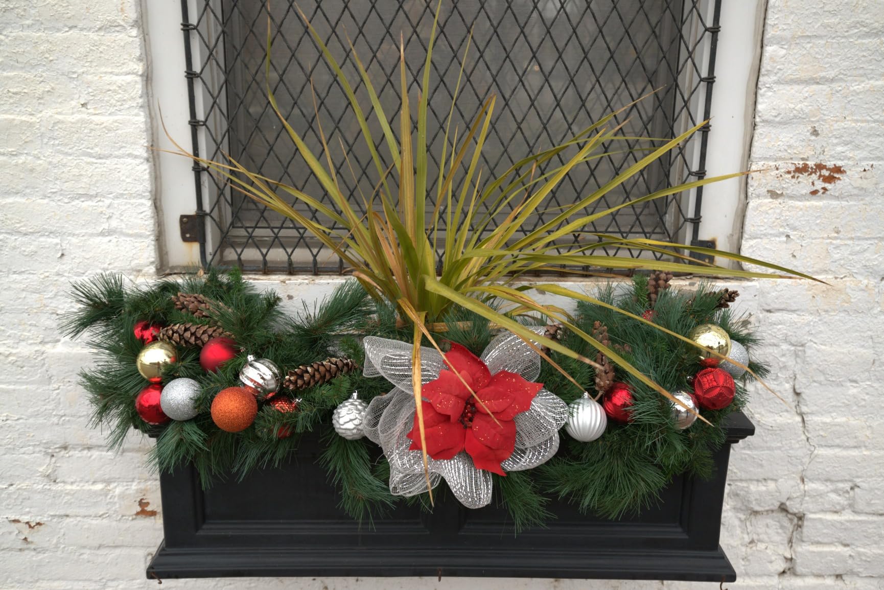 Nikon Z 5 | Our most compact full-frame mirrorless stills/video camera - Customer Photo 2