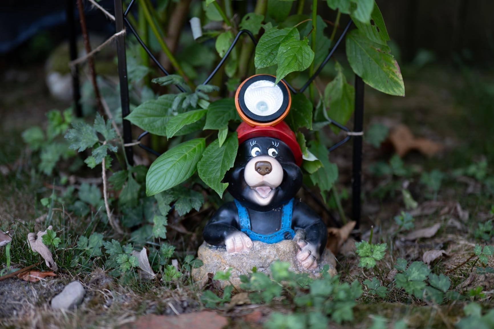 Panasonic LUMIX S5 Full Frame Mirrorless Camera, 4K 60P Video Recording with Flip Screen & WiFi, L-Mount, 5-Axis Dual I.S., DC-S5BODY (Black) Customer Review Panasonic LUMIX S5 Full Frame Mirrorless Camera, 4K 60P Video Recording with Flip Screen & WiFi, L-Mount, 5-Axis Dual I.S., DC-S5BODY (Black) - Customer Photo 1