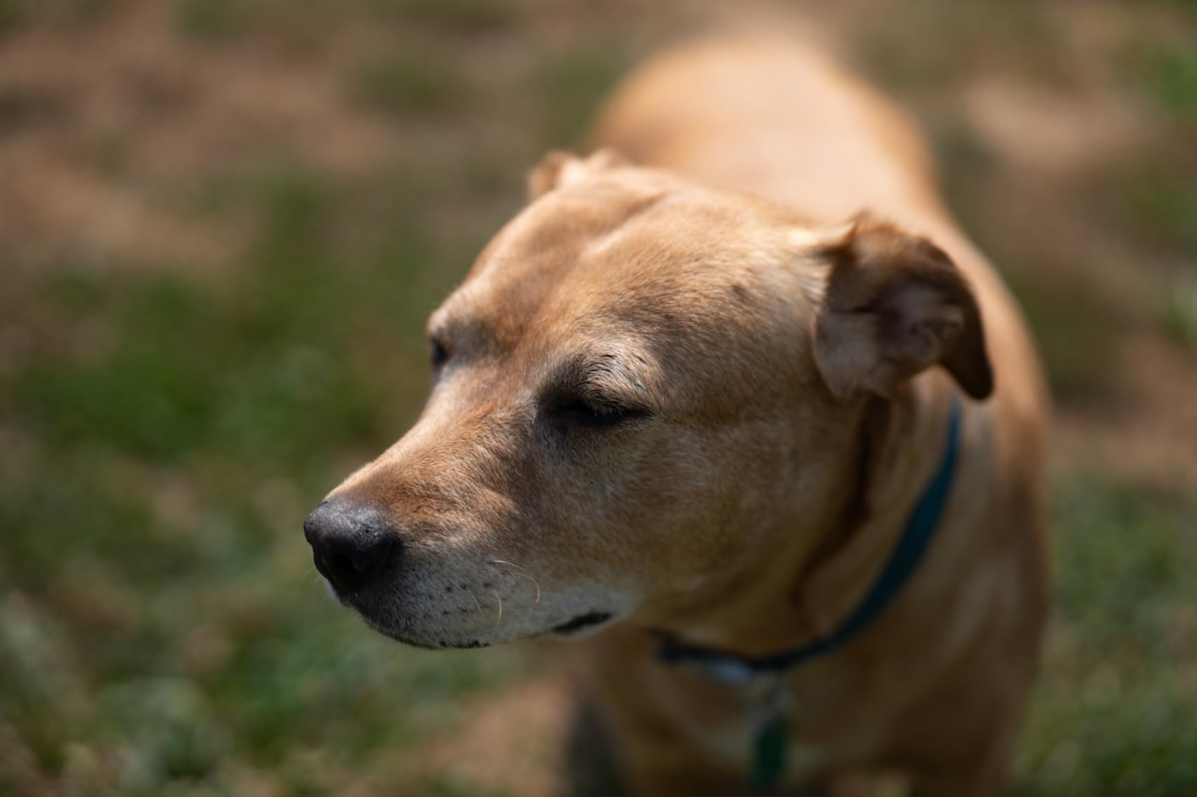 Panasonic LUMIX S5 Full Frame Mirrorless Camera, 4K 60P Video Recording with Flip Screen & WiFi, L-Mount, 5-Axis Dual I.S., DC-S5BODY (Black) Customer Review Panasonic LUMIX S5 Full Frame Mirrorless Camera, 4K 60P Video Recording with Flip Screen & WiFi, L-Mount, 5-Axis Dual I.S., DC-S5BODY (Black) - Customer Photo 2