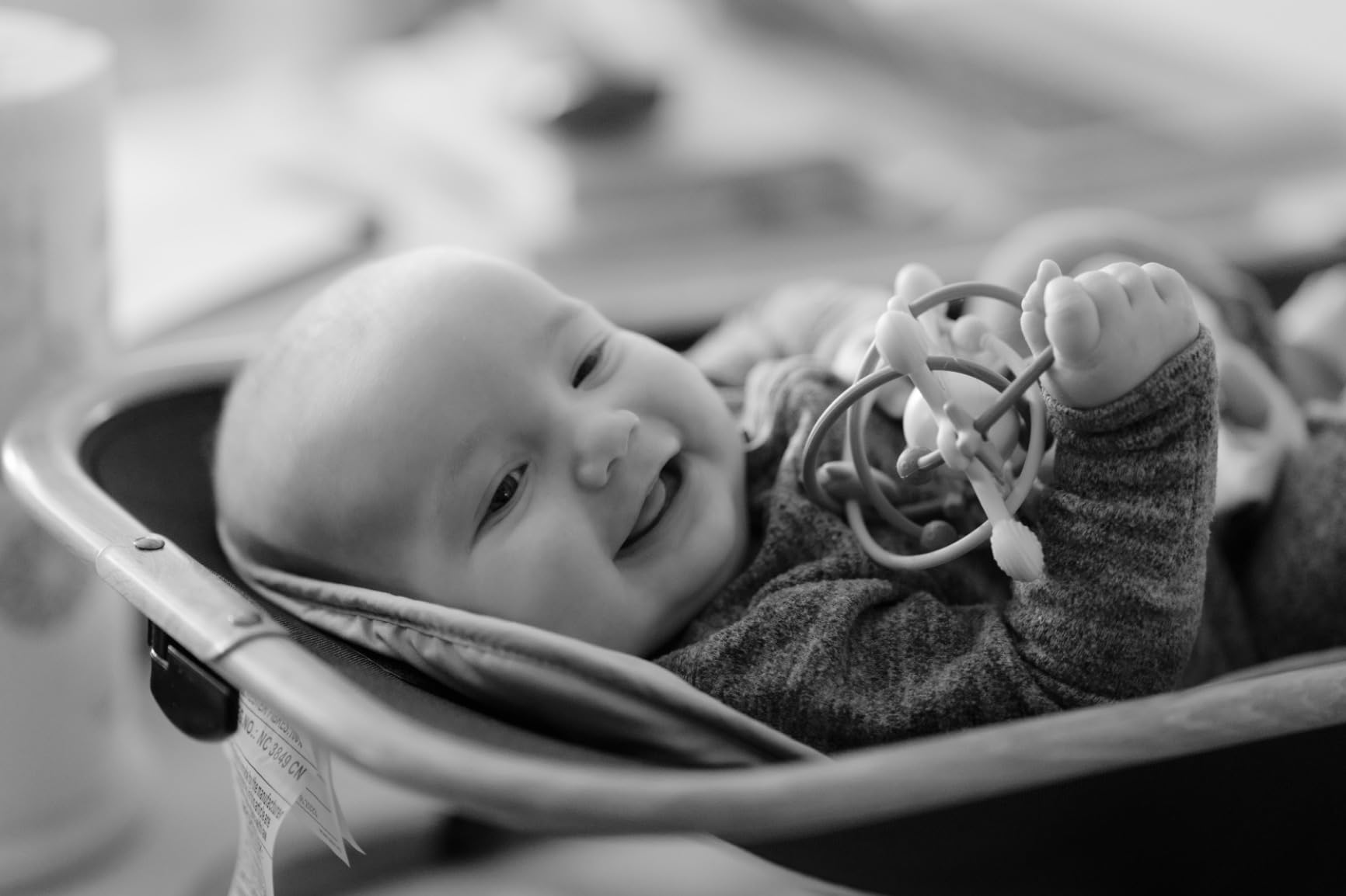 Sigma 85mm F1.4 DG DN Art Lens - Customer Photo 2