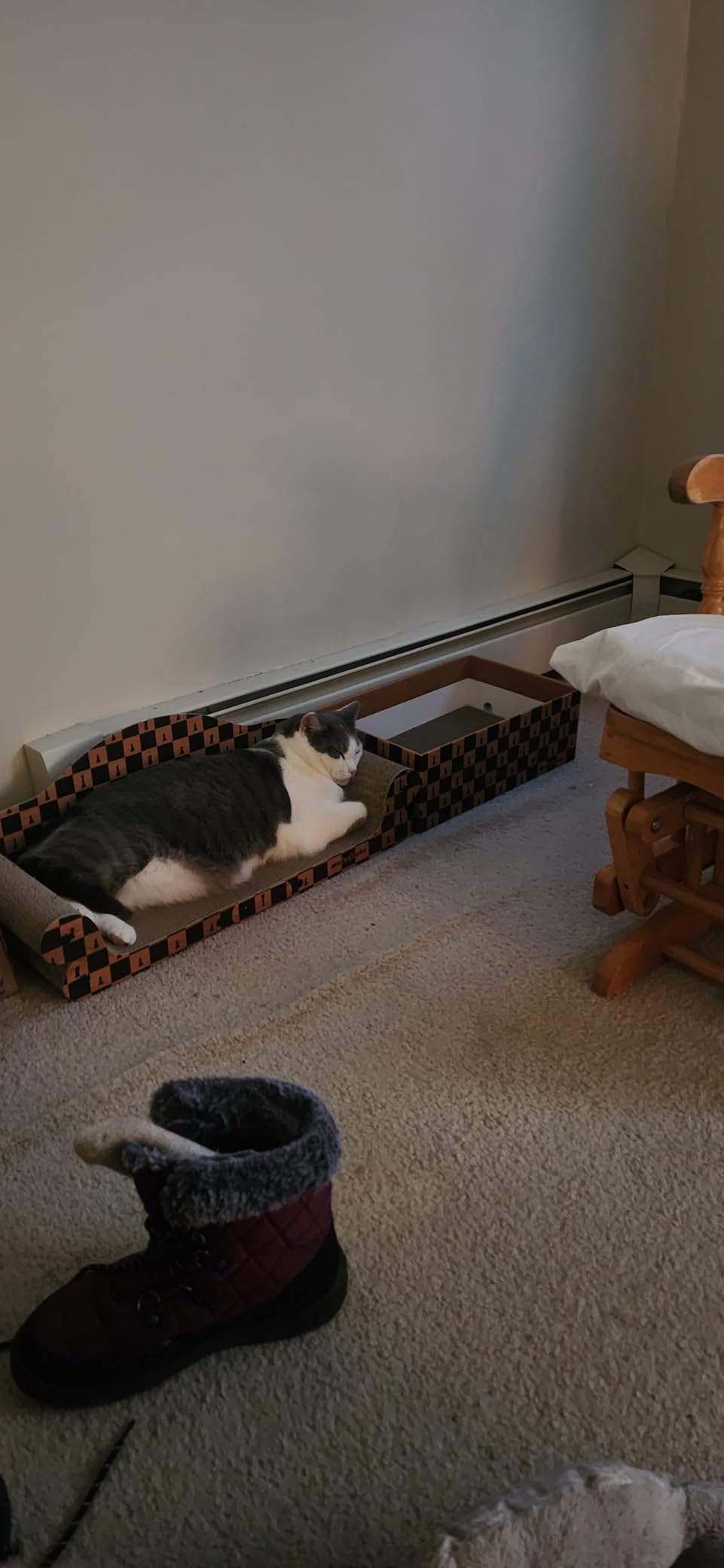 LEVOIT Air Purifier for Home Bedroom Dorm Room, Smart WiFi Alexa Control, AHAM VERIFIDE, 3-in-1 Filter with HEPA Sleep Mode for Allergens, Pollutants, Smoke, Dust, Core 200S-P, White - Customer Photo 2