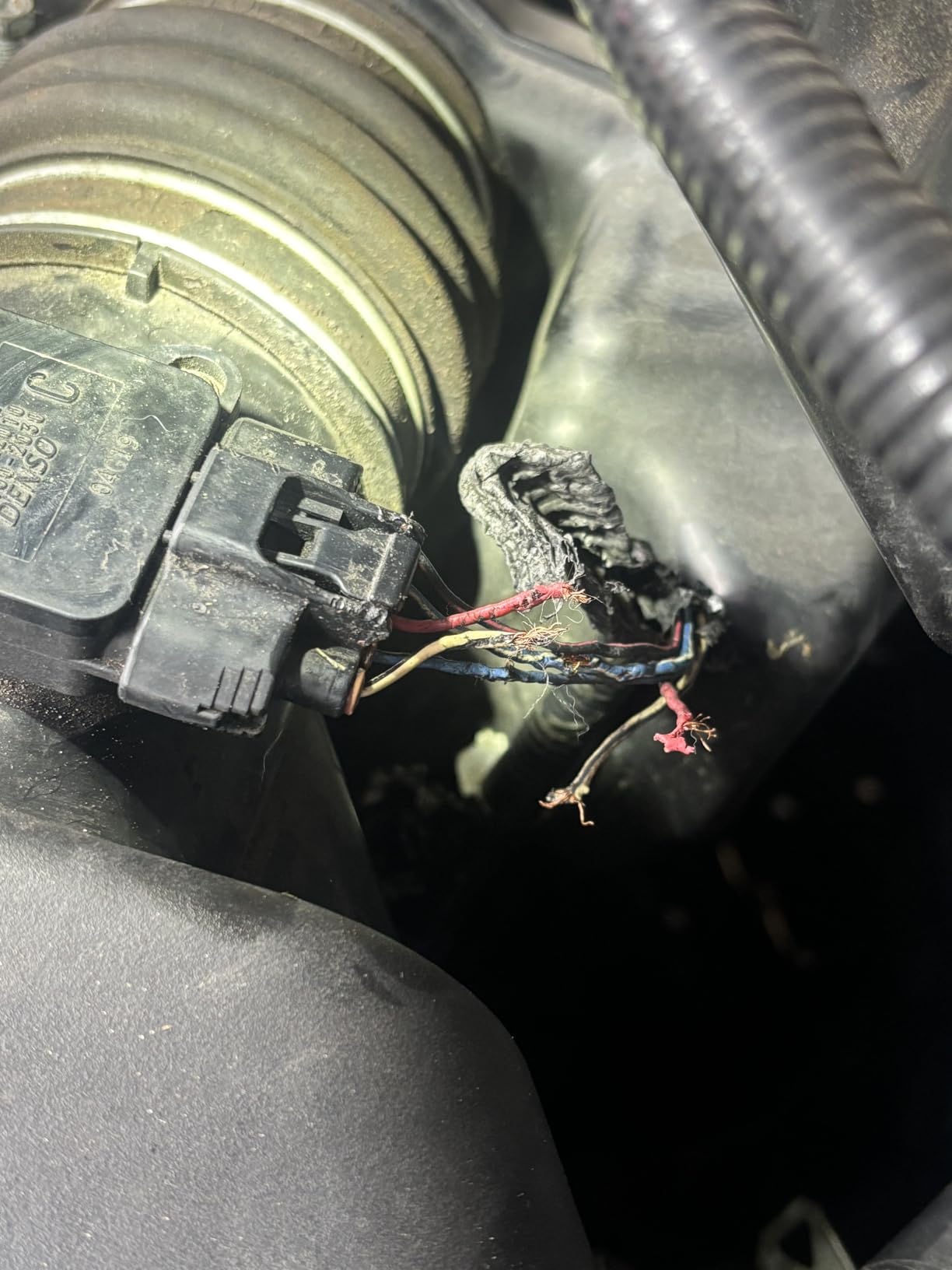 Grandpa Gus's Rodent Repellent Spray, Peppermint & Cinnamon Oil, Prevents Mouse/Rats from Nesting & Chewing on Wires, 16 fl oz (1 Bottle) - Customer Photo 1