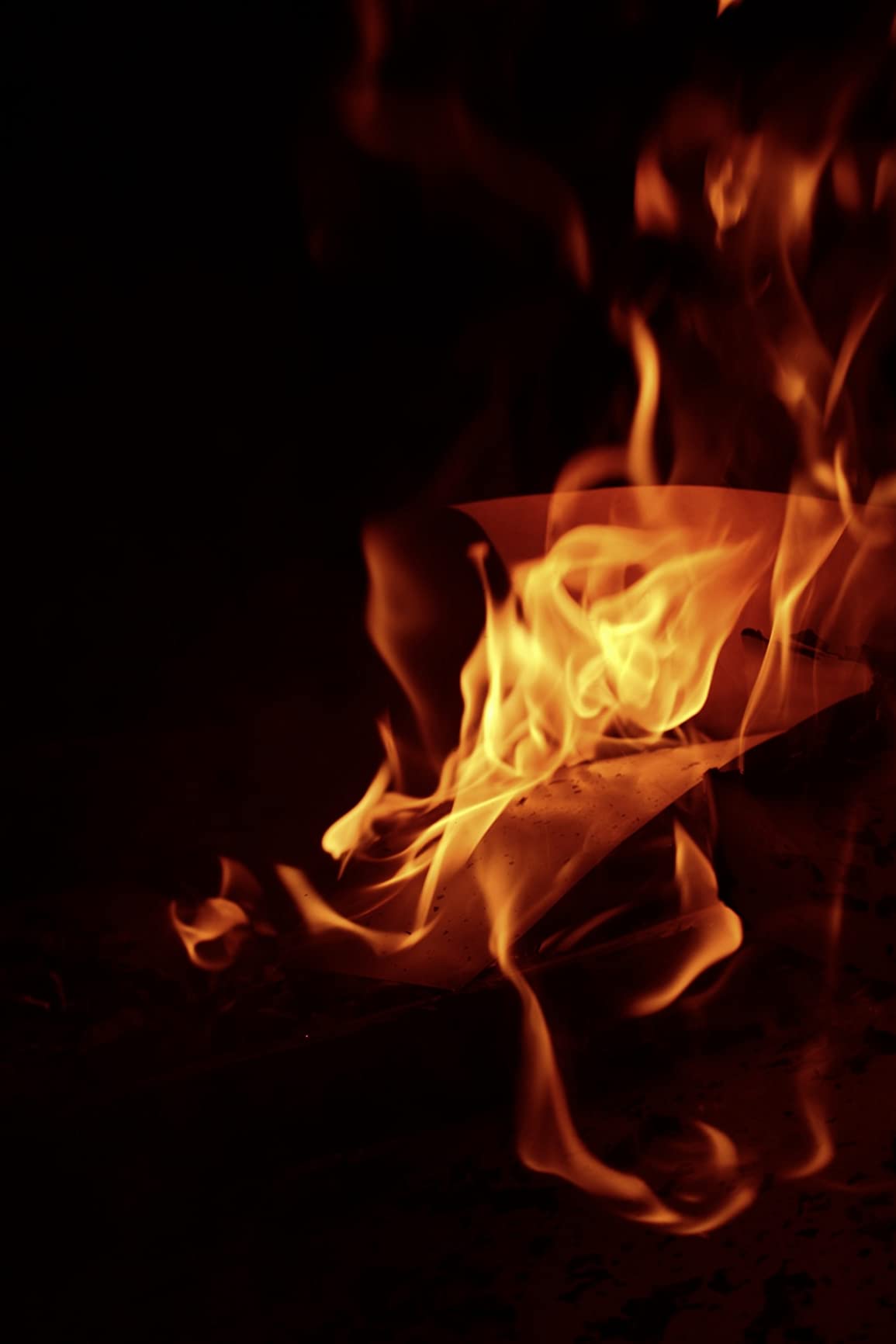 Canon EOS 2000D (Rebel T7) DSLR Camera + 18-55mm III Kit (Renewed) - Customer Photo 3