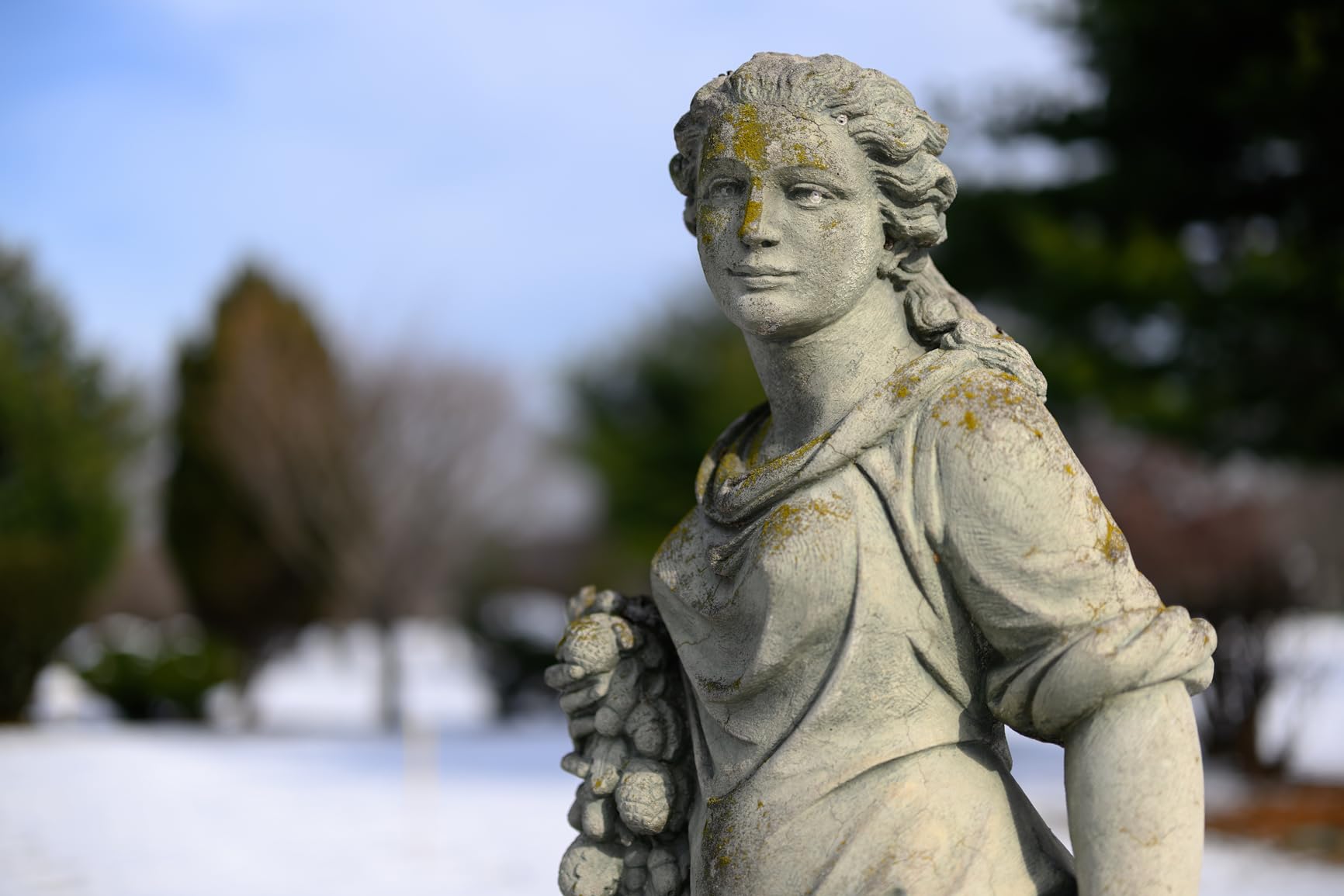 Nikon NIKKOR Z 50mm f/1.2 S Professional Extra-Large Aperture 50mm Prime Lens - Customer Photo 1