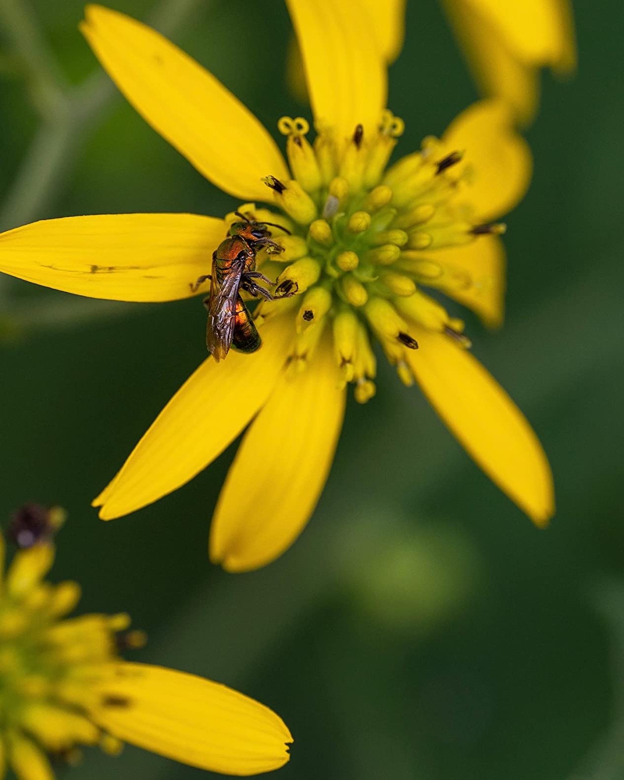 Product - Customer Photo 2