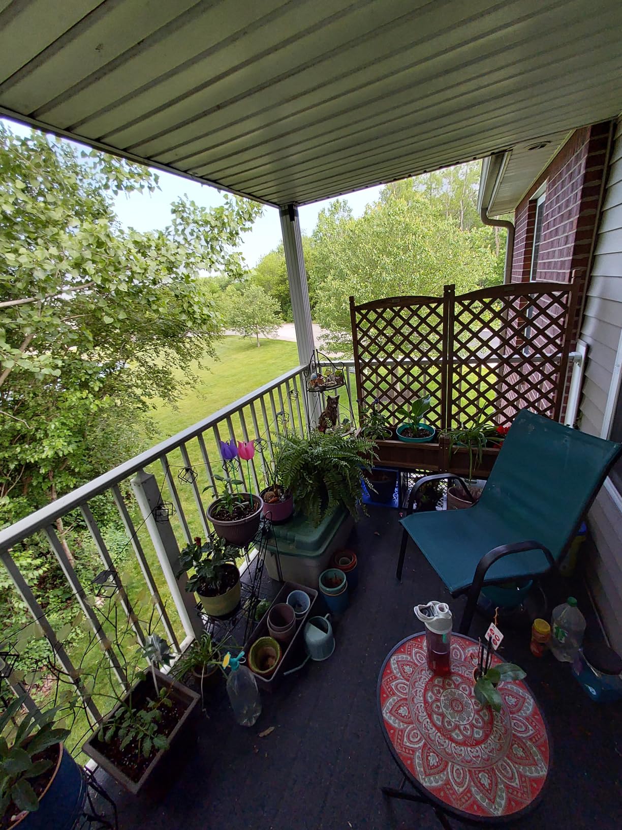 Best Choice Products 48in Wood Planter Box & Diamond Lattice Trellis, Mobile Outdoor Raised Garden Bed for Climbing Plants w/Drainage Holes, Optional Wheels - Walnut - Customer Photo 2